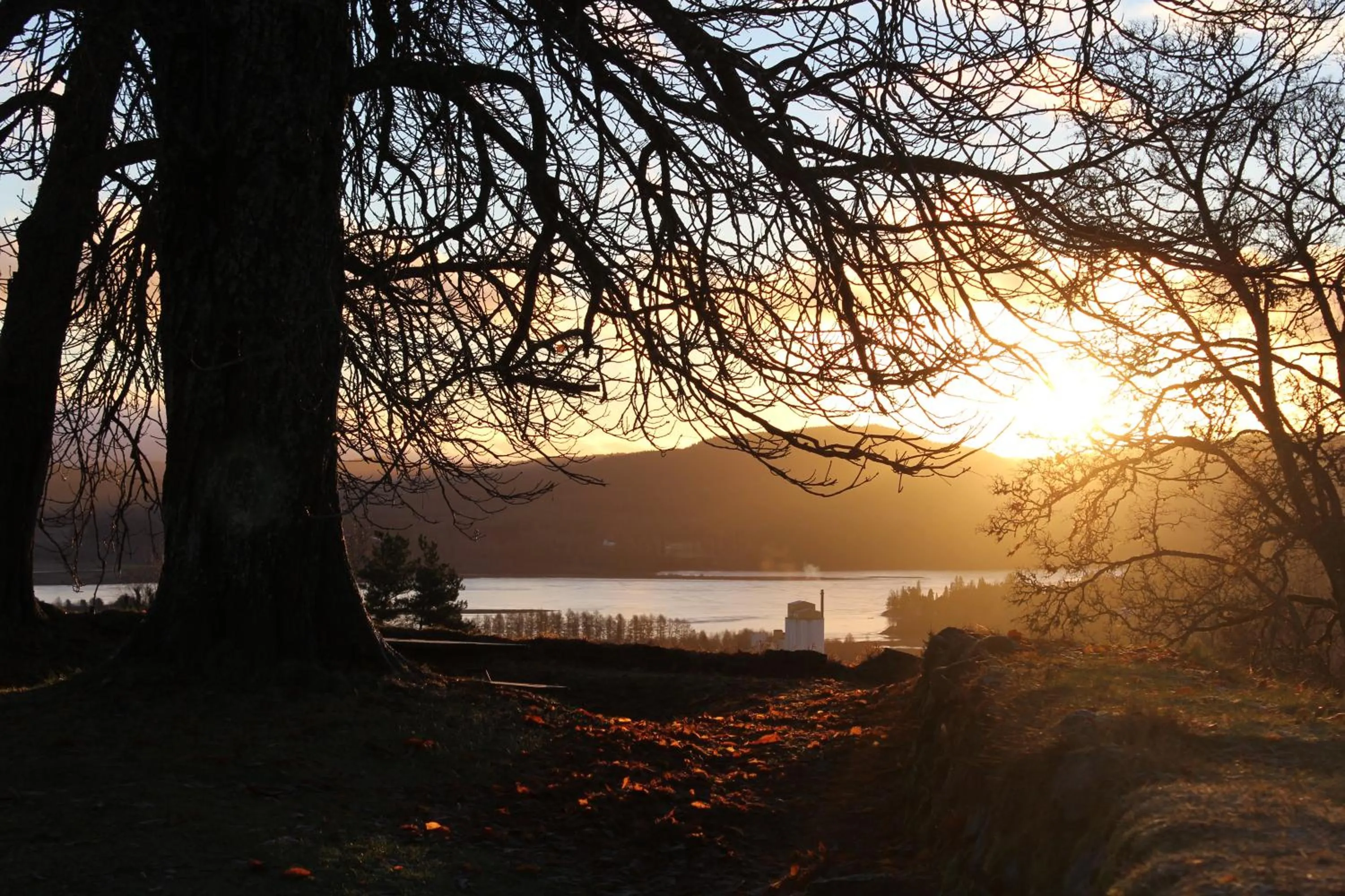 Off site in Kongsvinger Castle Hotel & Resort