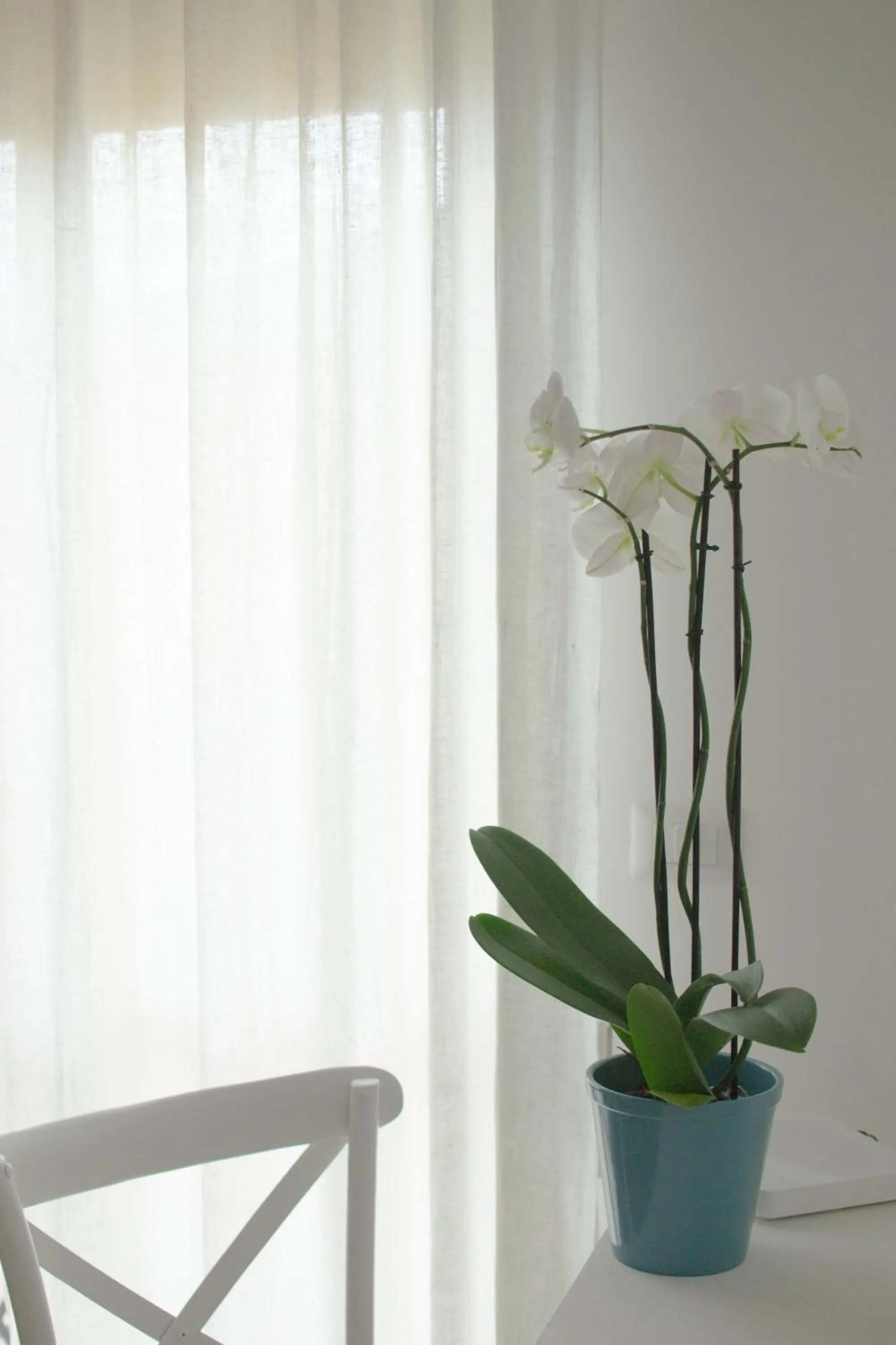 Lobby or reception in Il Gelsomino