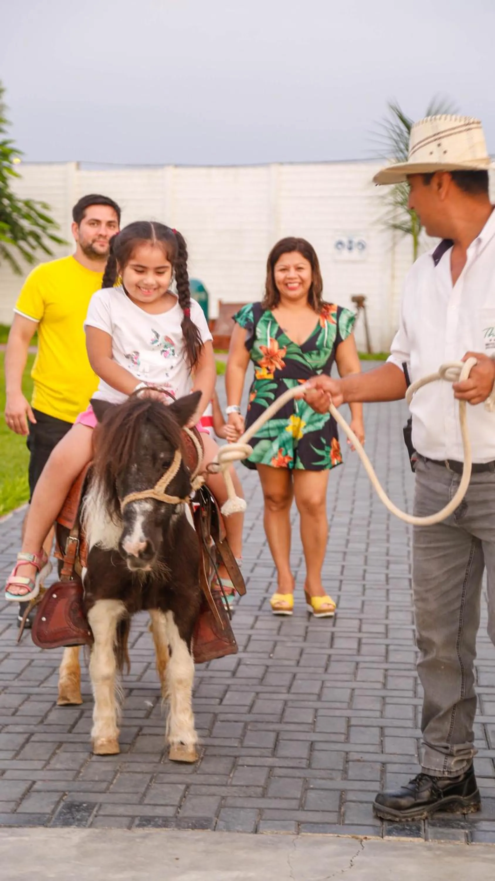 Animals in Hotel Resort Thiago