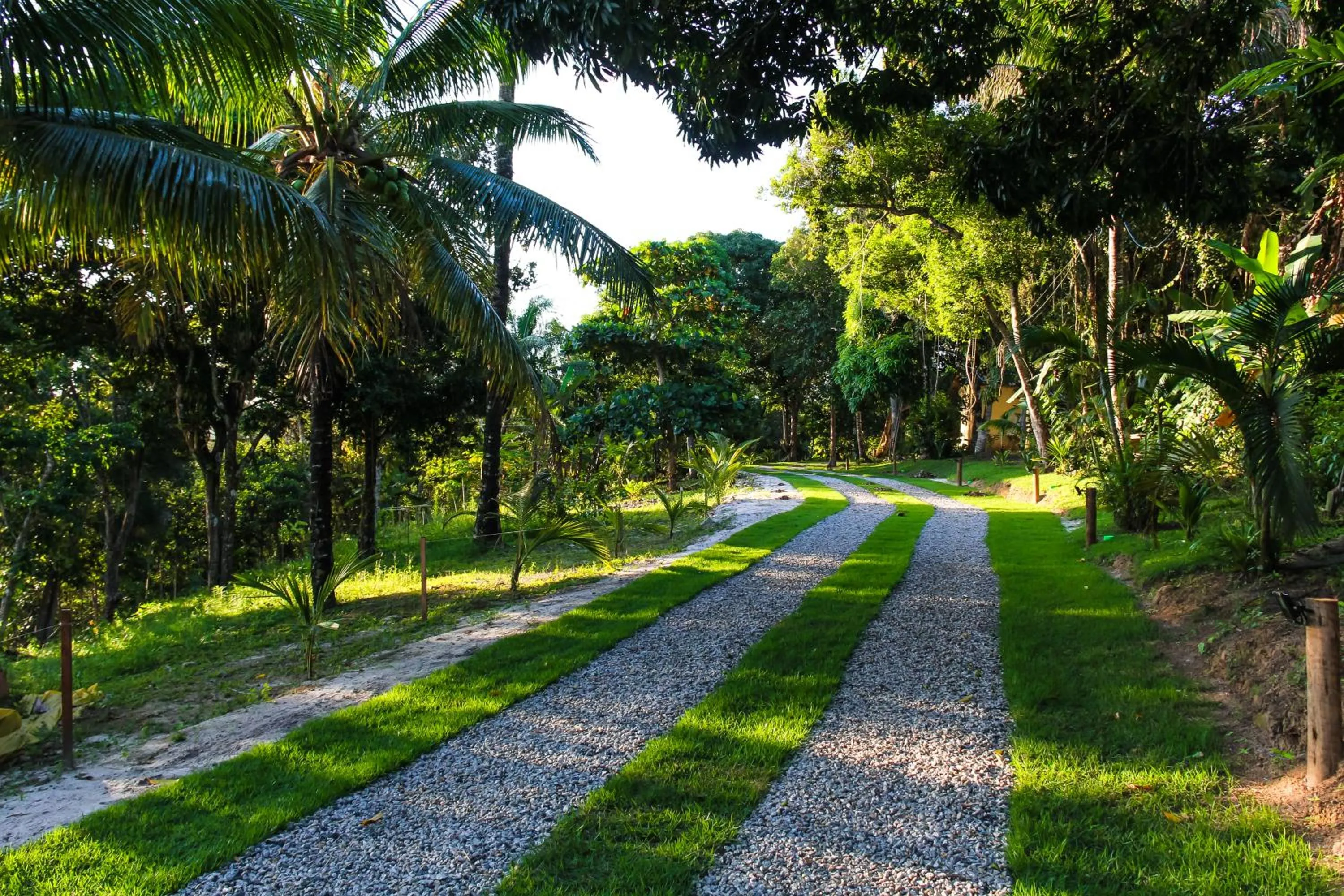 Garden view in Sagui Boutique Hotel