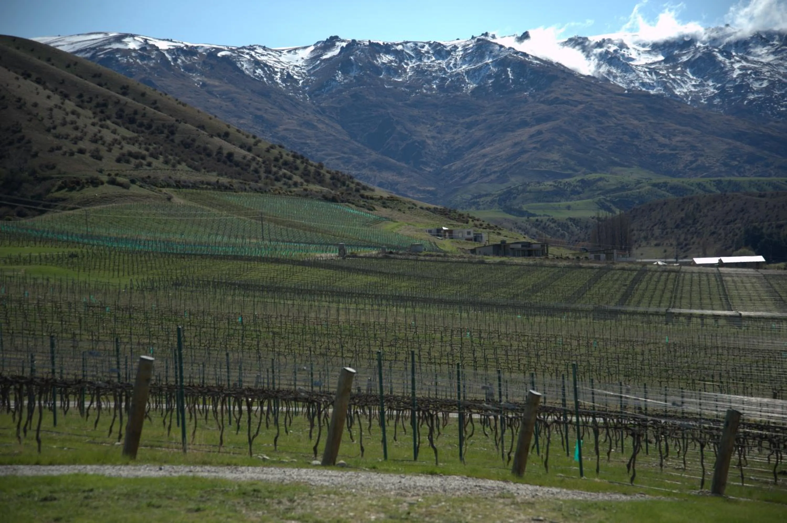 Mountain view in Mt Michael Lodge