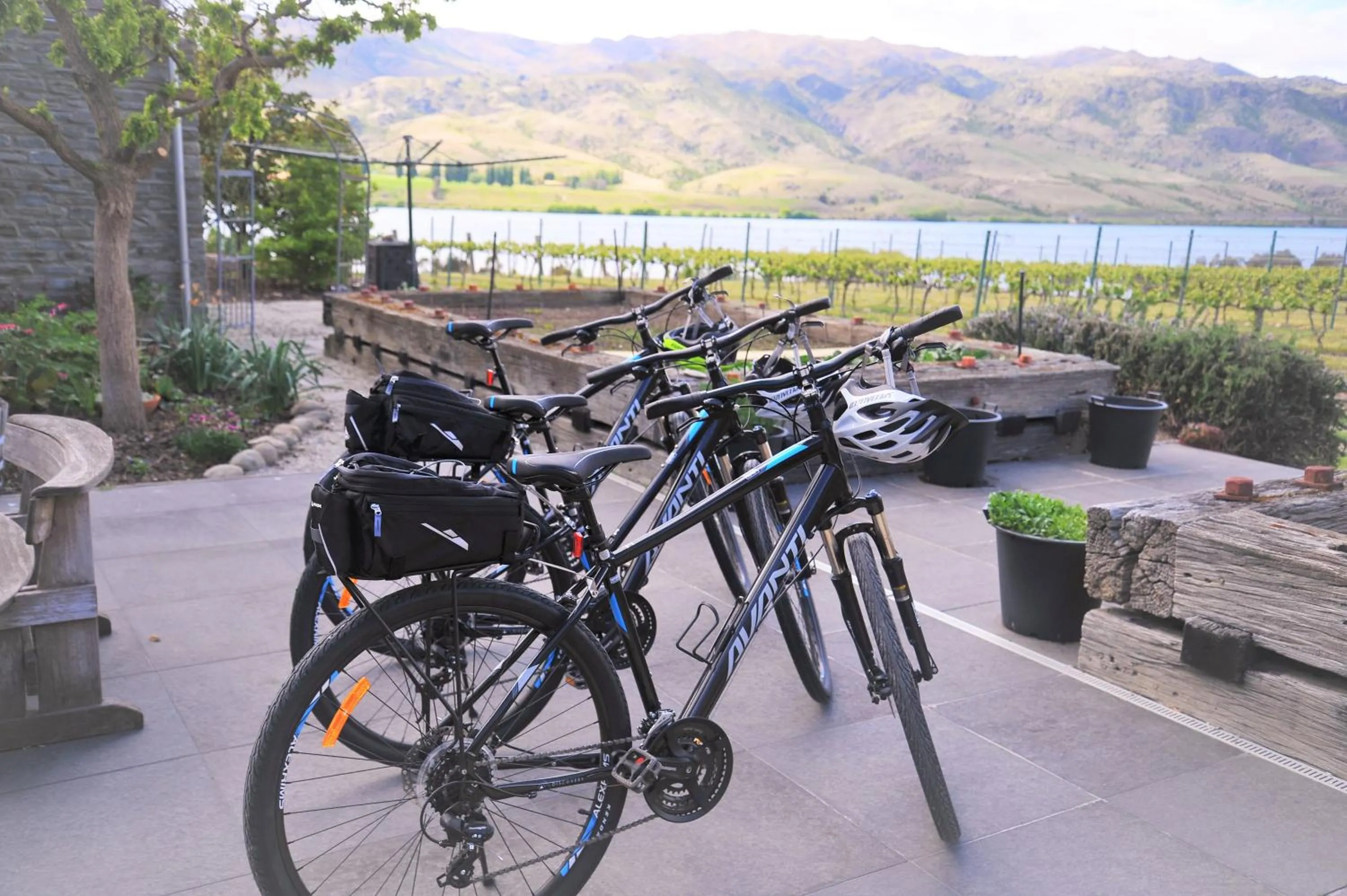 Cycling in Mt Michael Lodge