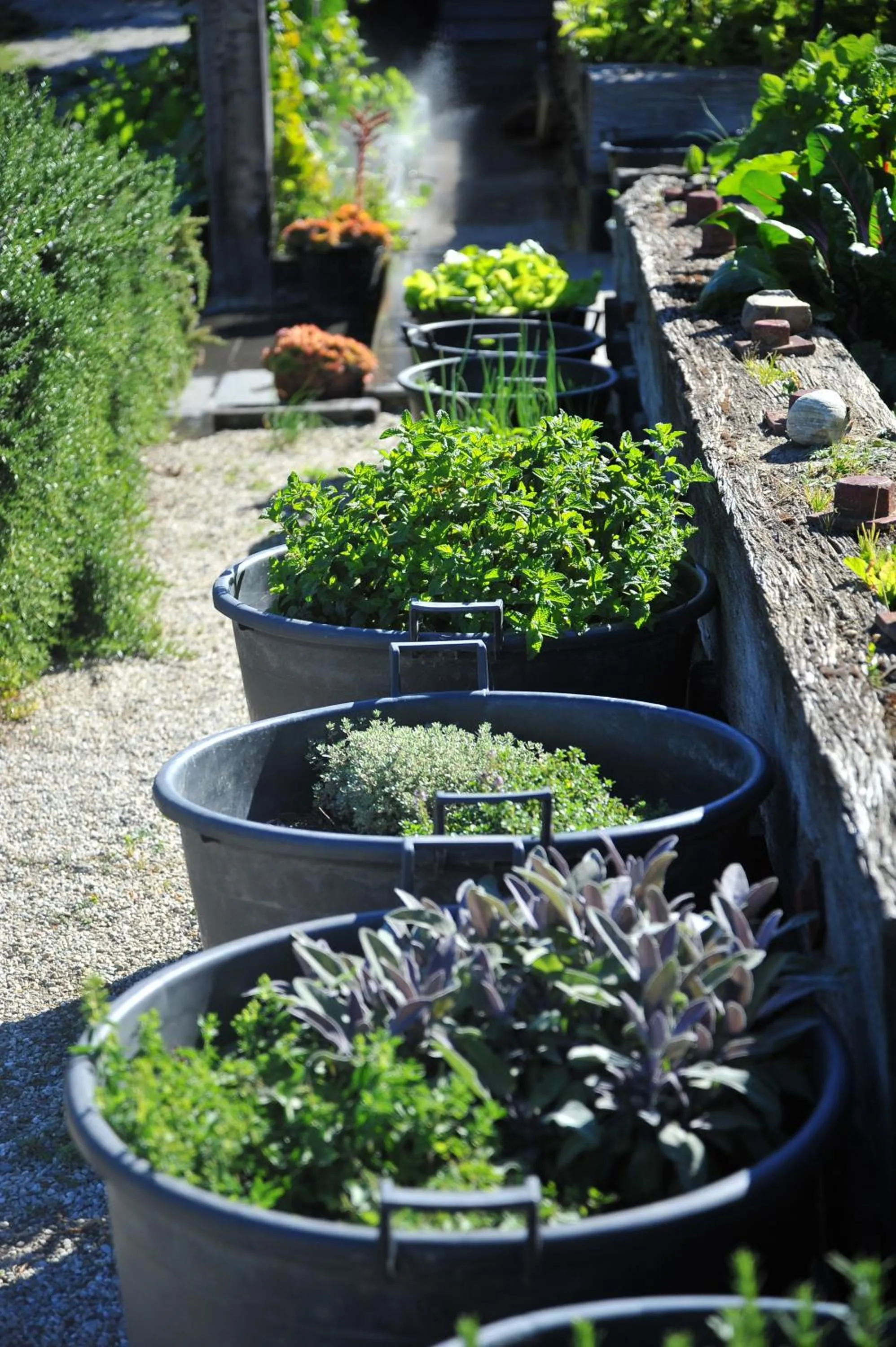 On site in Mt Michael Lodge