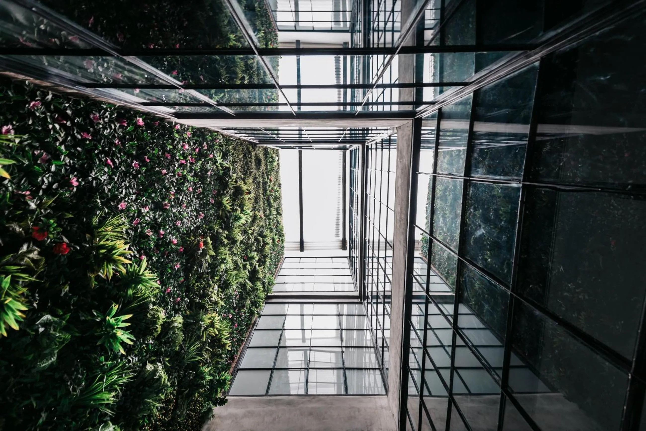 Garden view in Soy Local Provenza