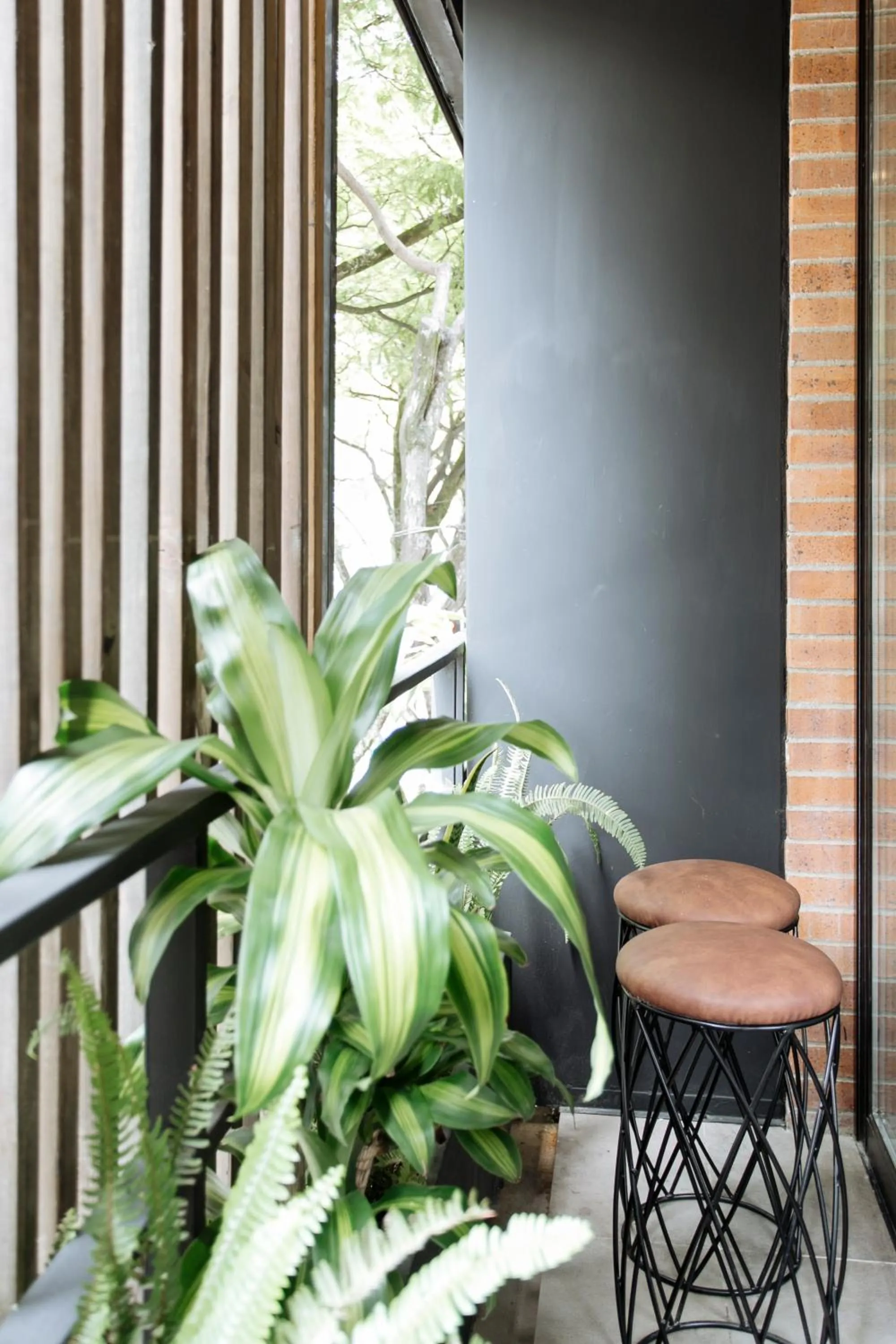 Balcony/Terrace in Soy Local Provenza