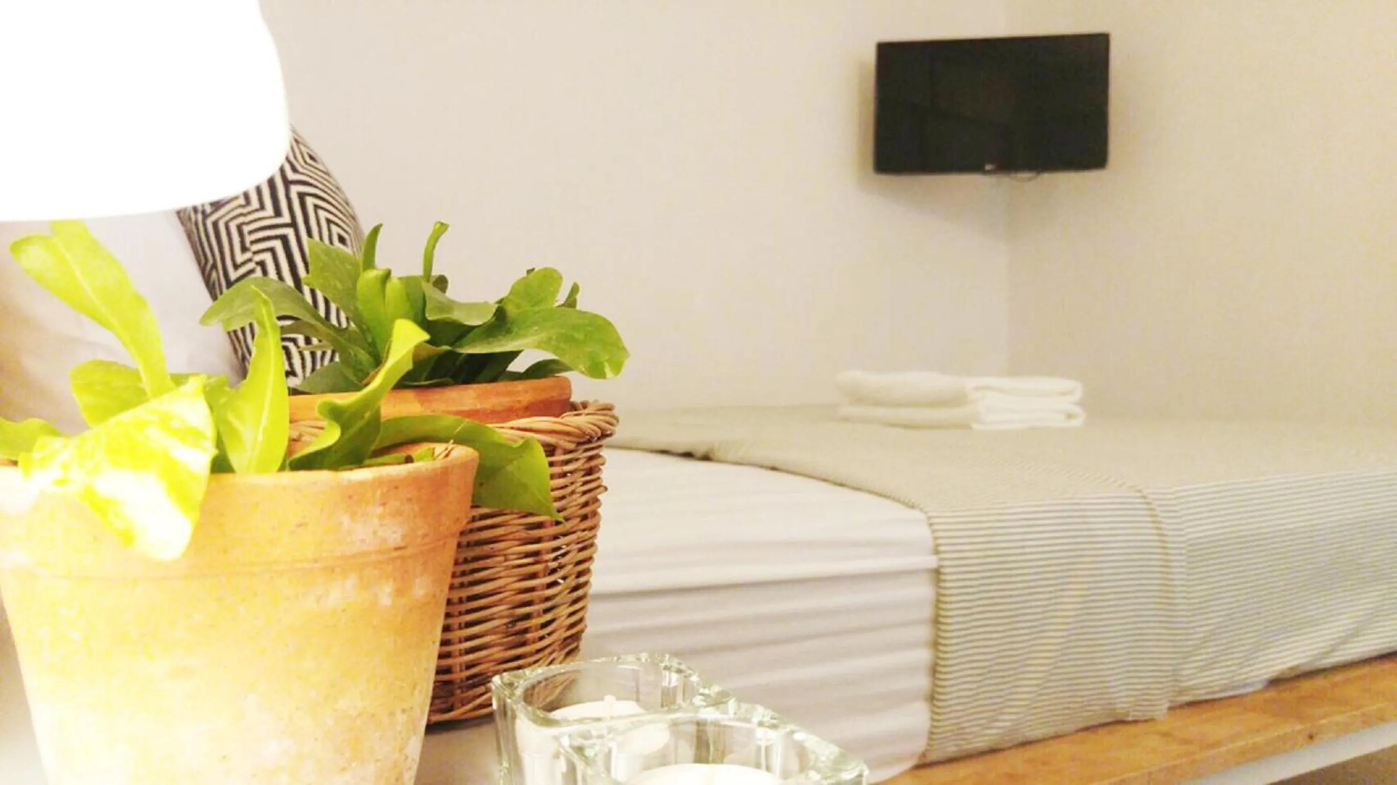 Bed in Green Sleep Hostel