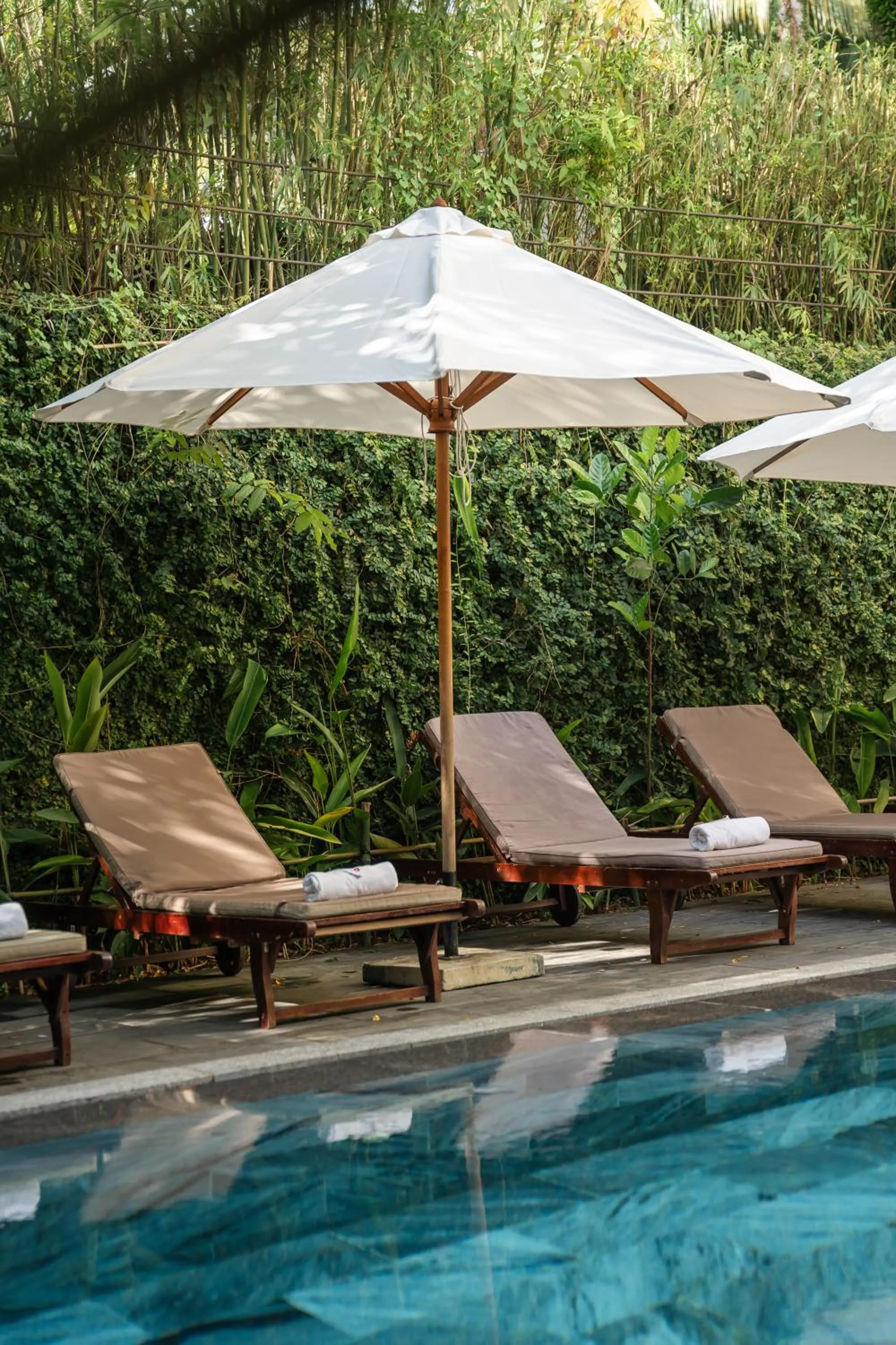 Garden view in 9Station Hostel & Bar Phu Quoc