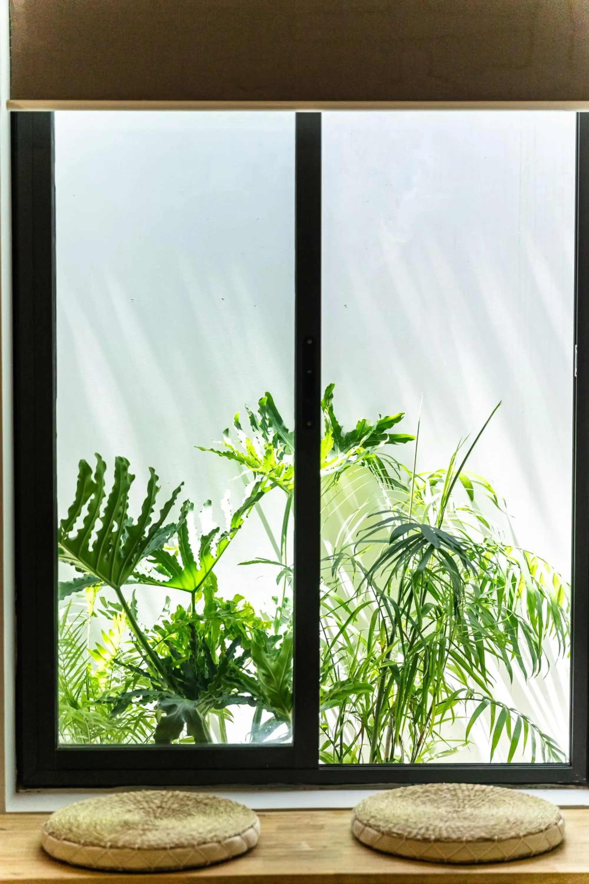 Garden view in 9Station Hostel & Bar Phu Quoc