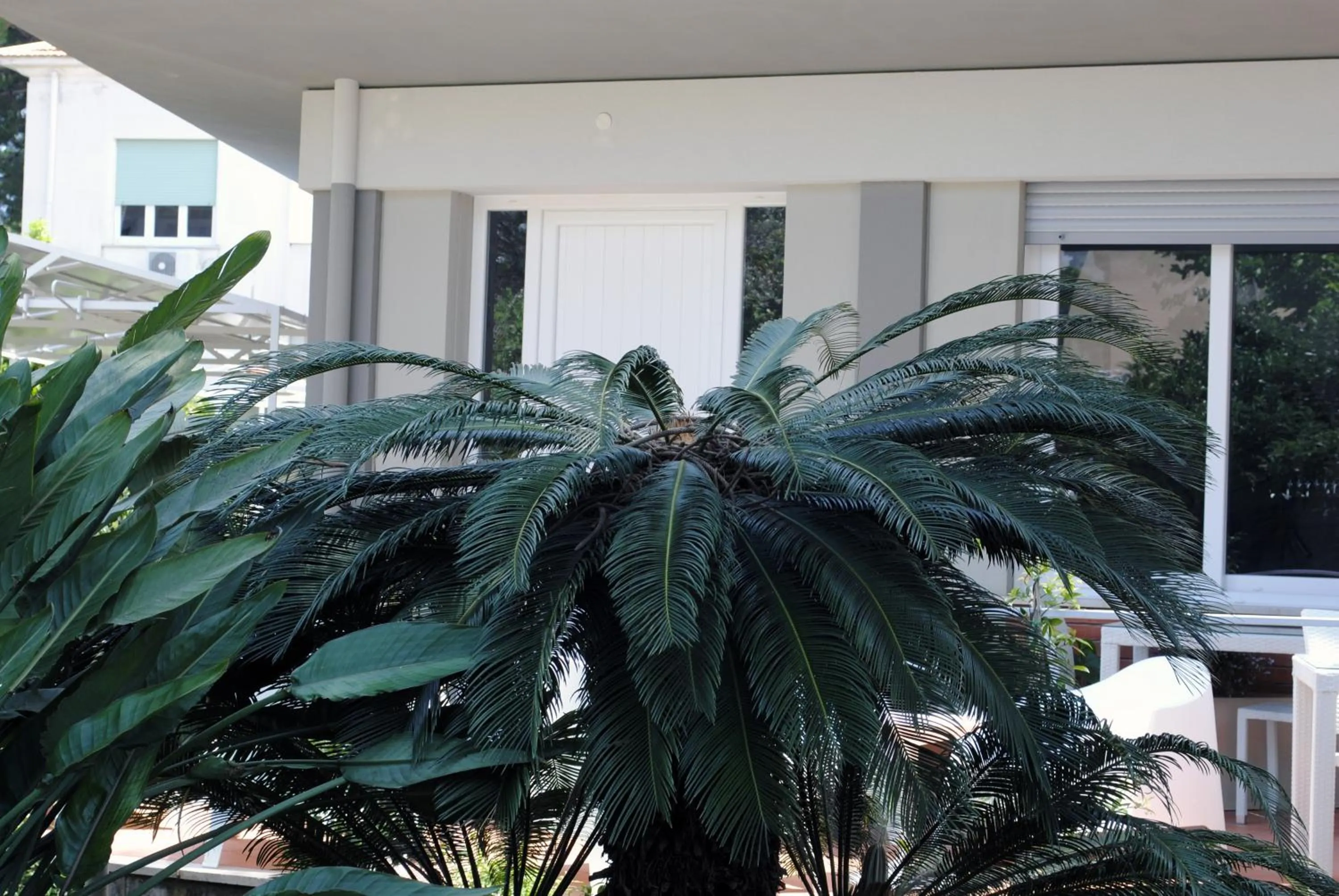 Facade/entrance in B&B Mondello Design