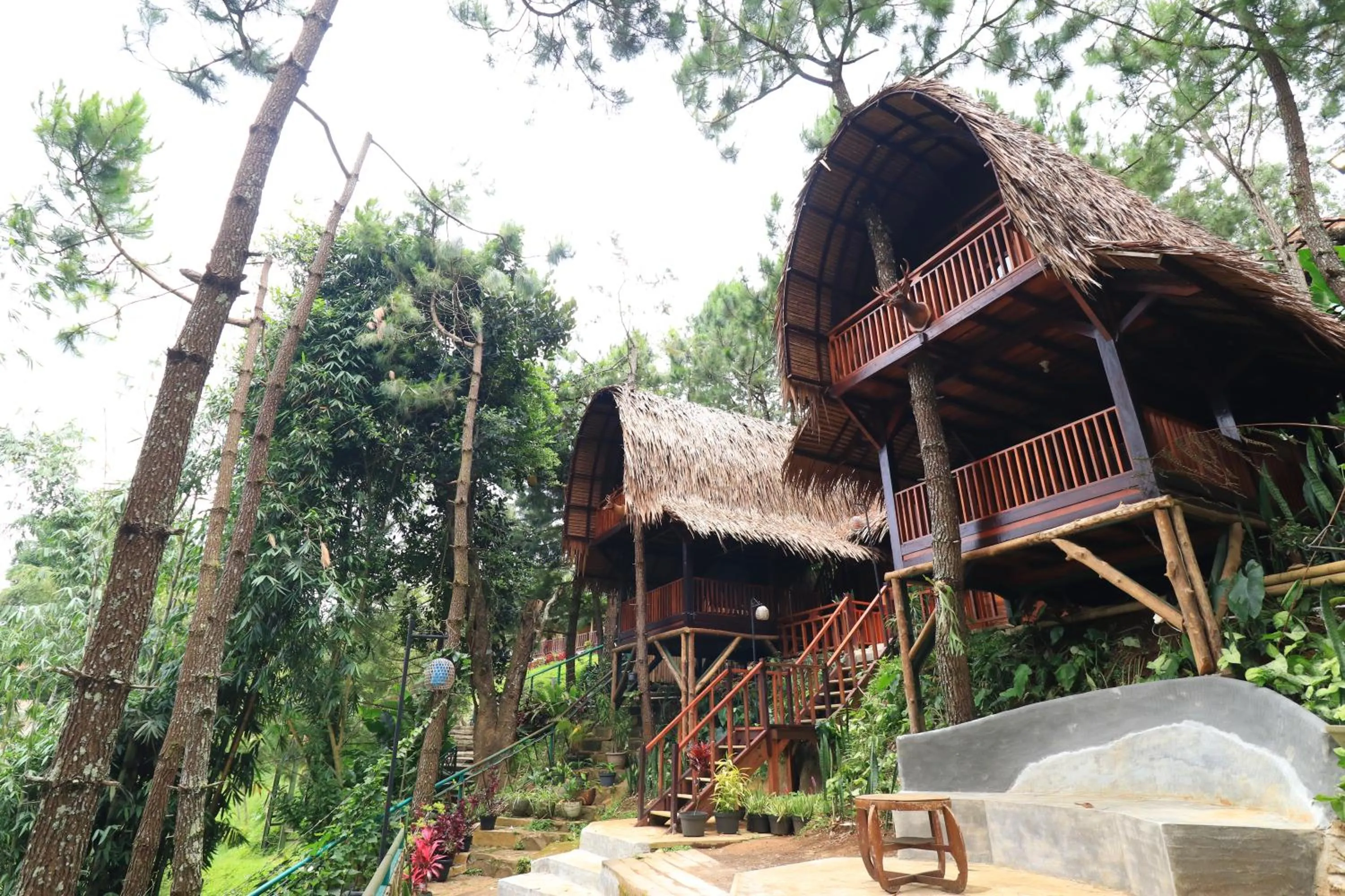 The Lodge Maribaya