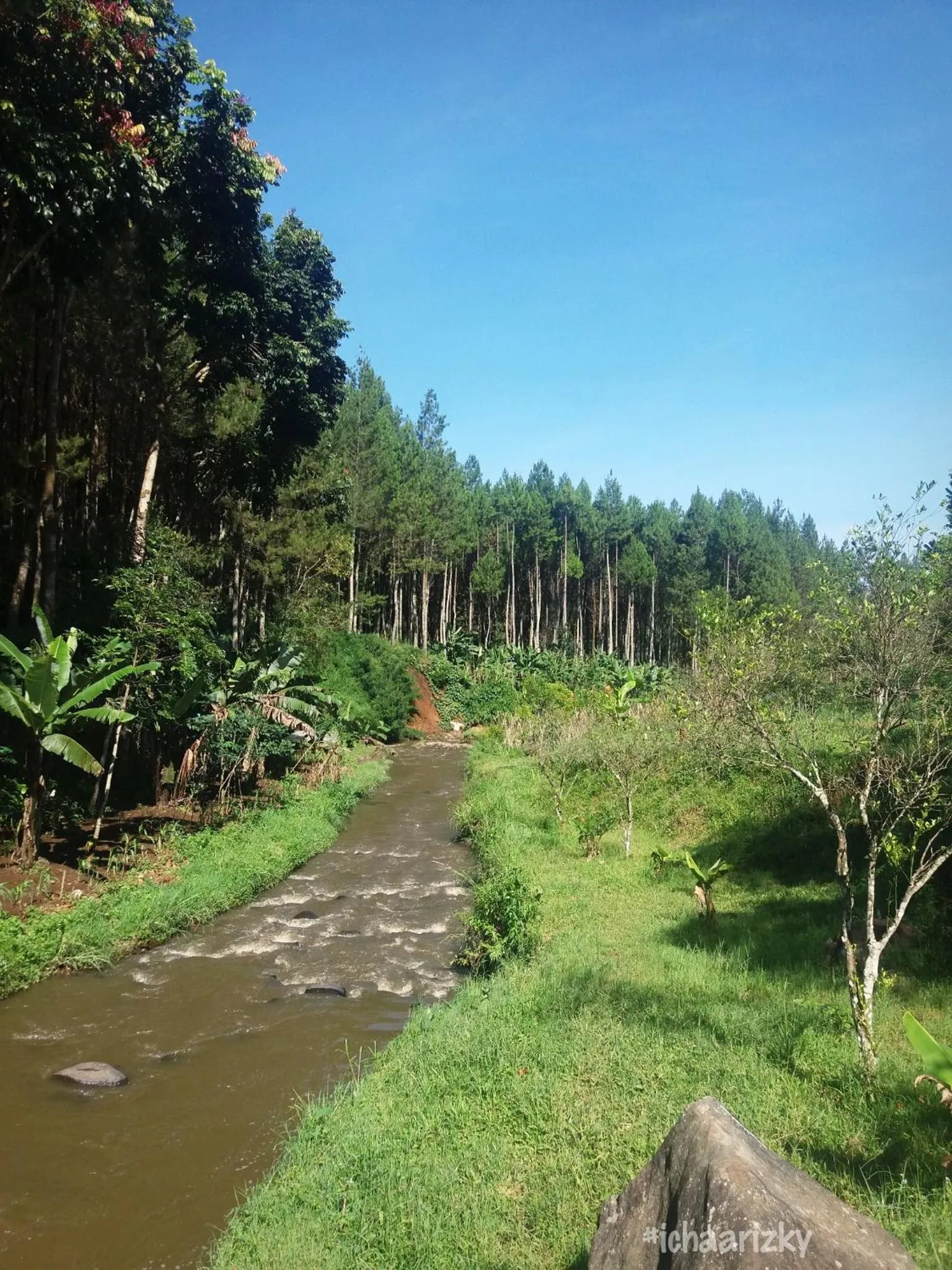 Hiking in The Lodge Maribaya
