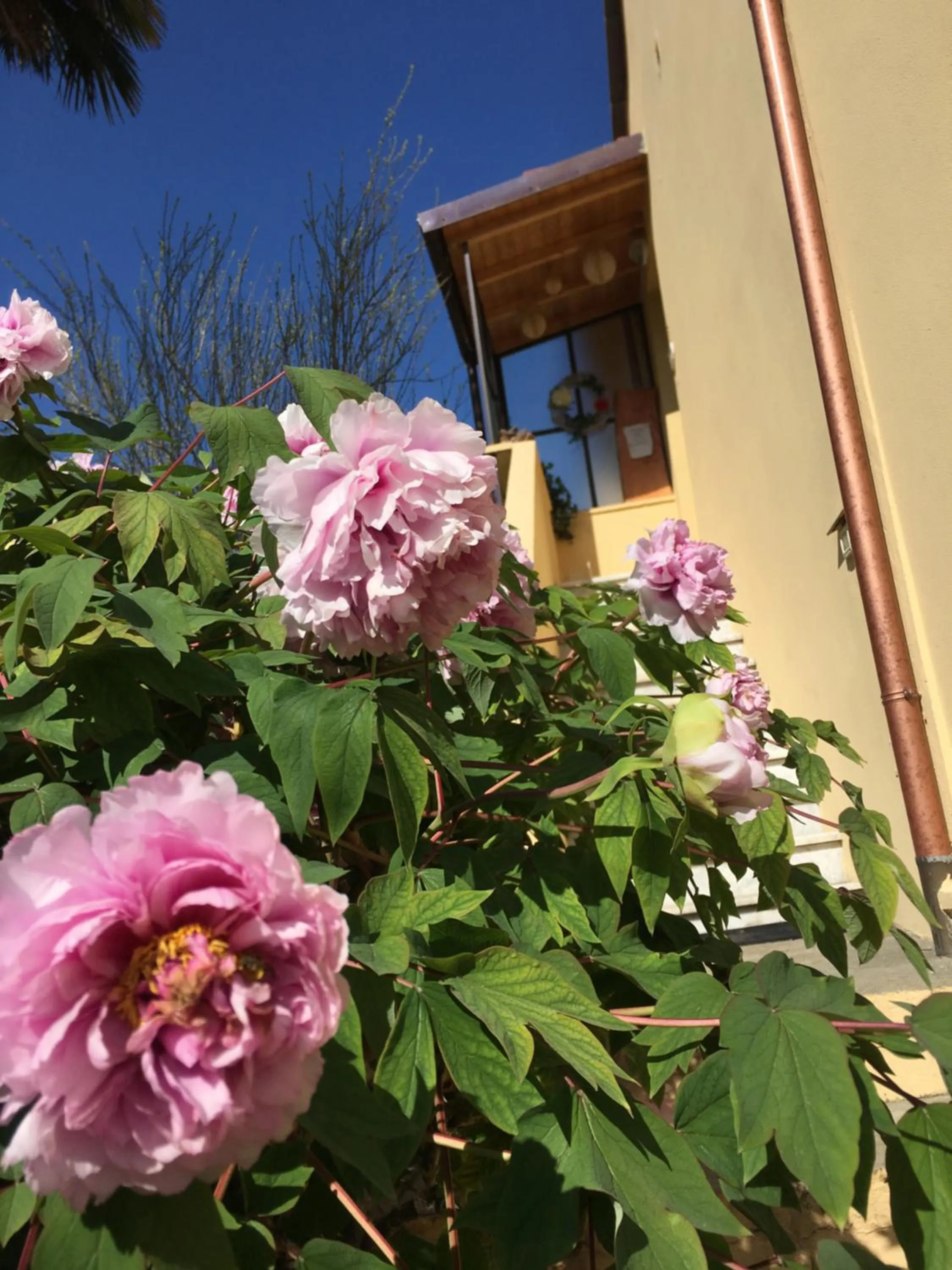 Garden in Ai Cinque Campanili