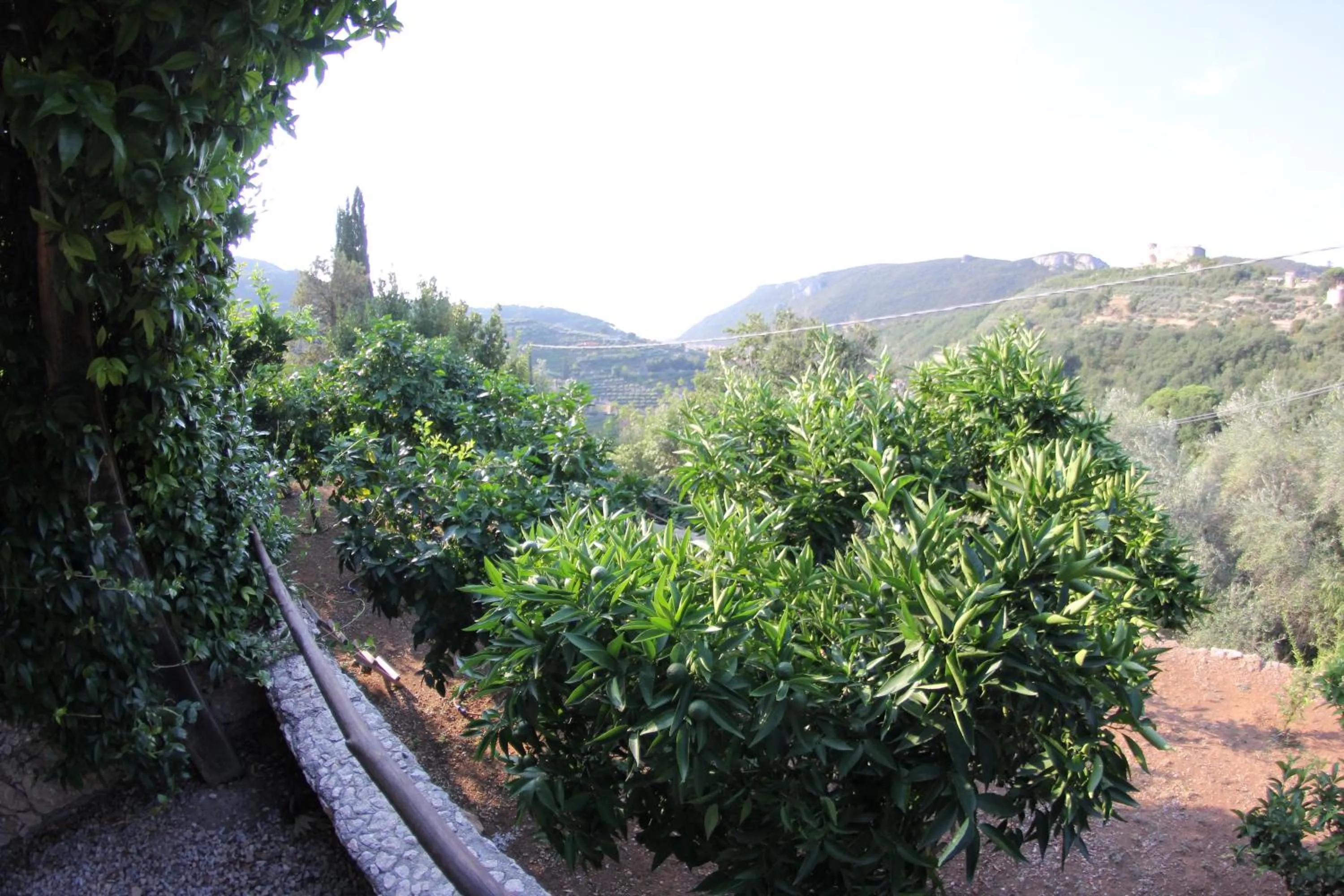 Spring in Ai Cinque Campanili