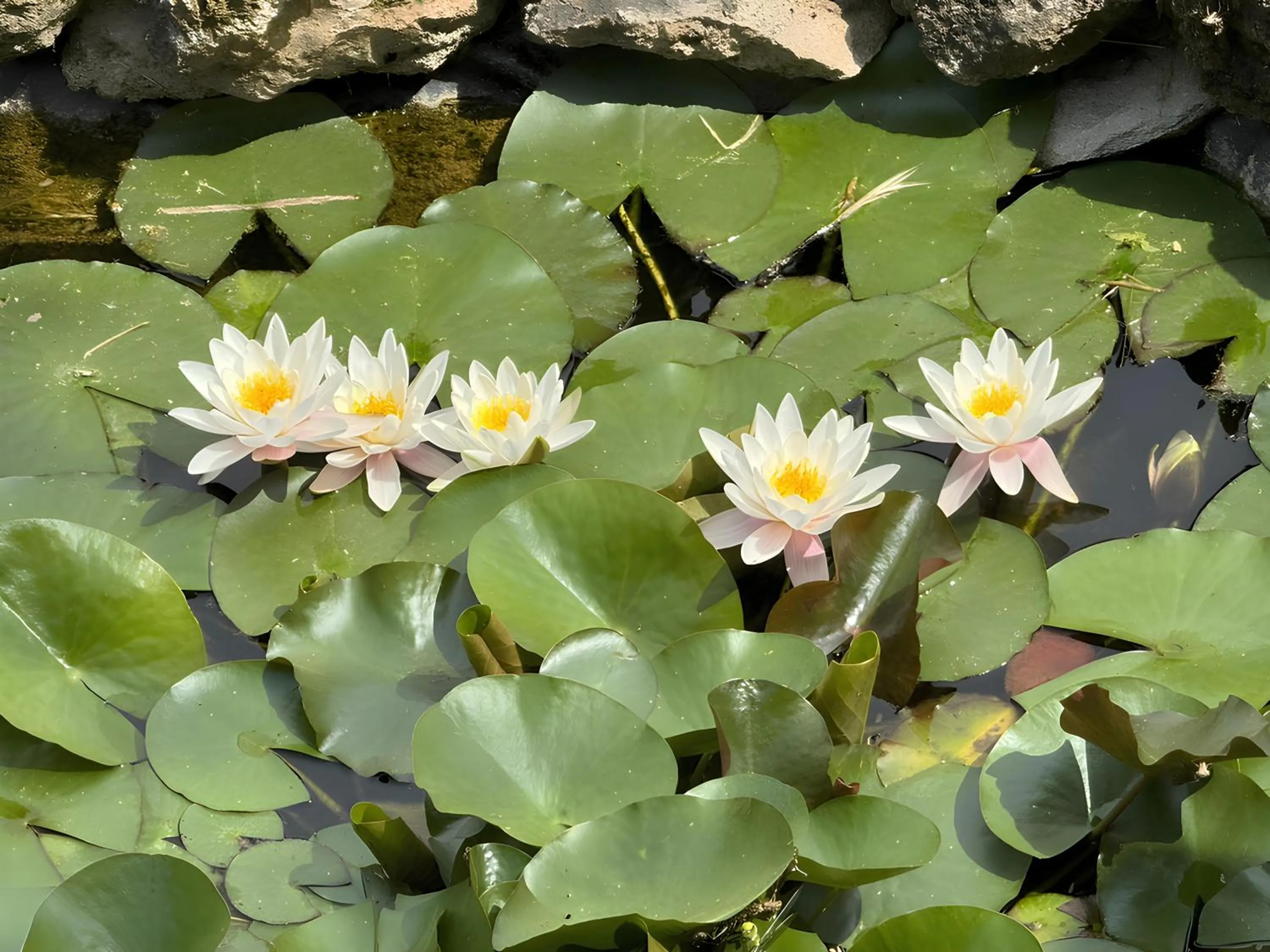 Spring in Ai Cinque Campanili