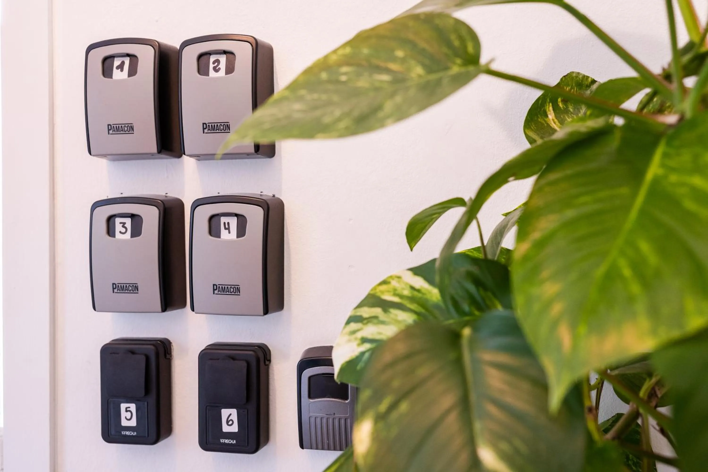 Other in Hostel Neon Tenerife