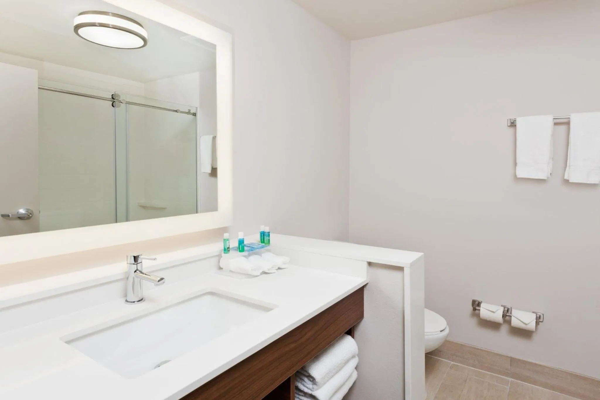 Bathroom in Holiday Inn Express & Suites - Cartersville by IHG