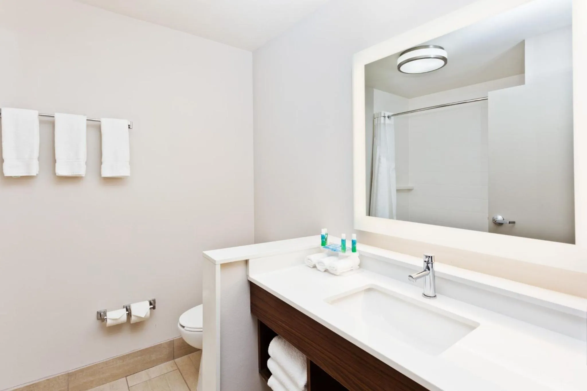 Bathroom in Holiday Inn Express & Suites - Cartersville by IHG