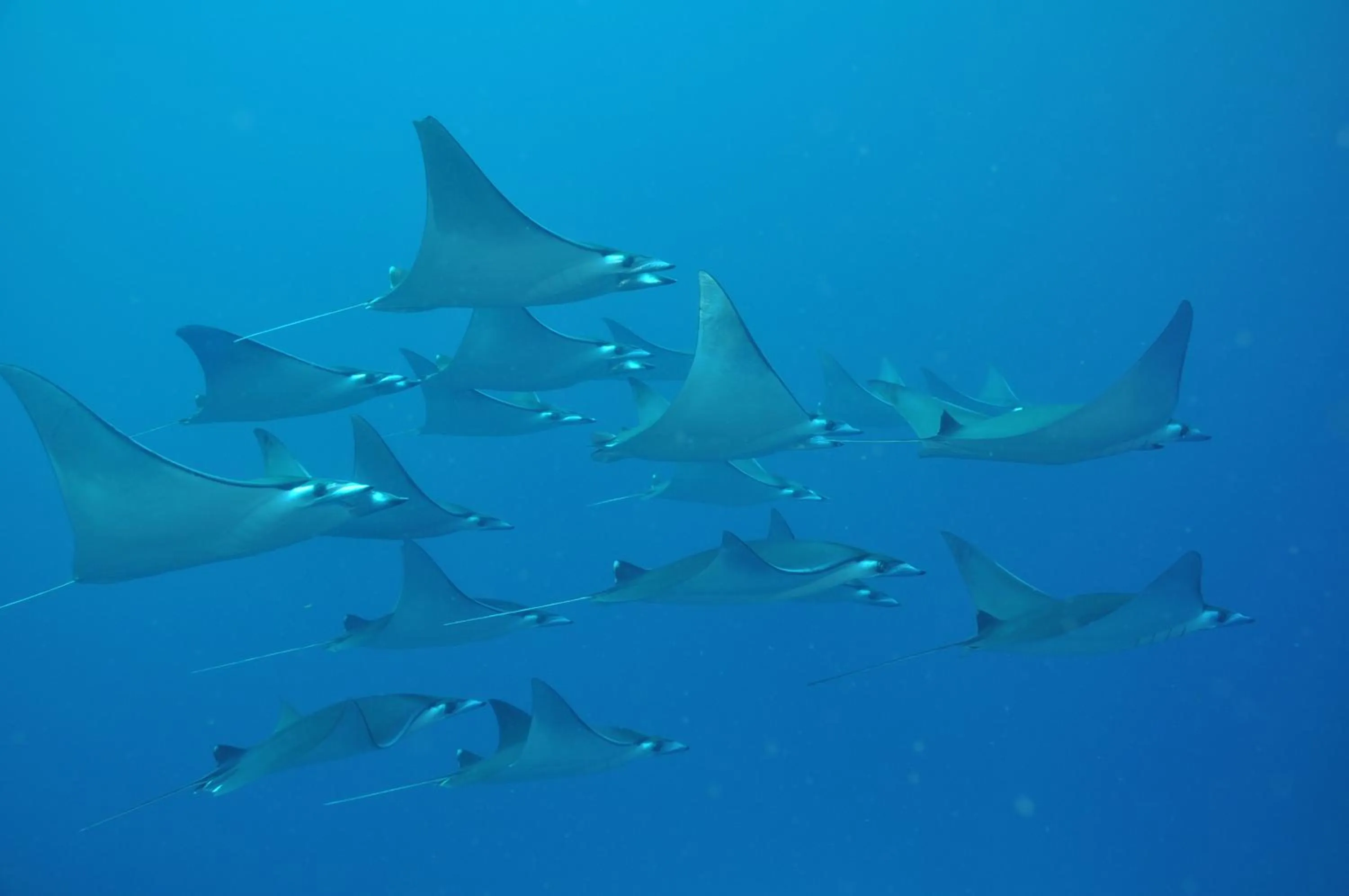 Off site in Dhigali Maldives - A Premium All-Inclusive Resort