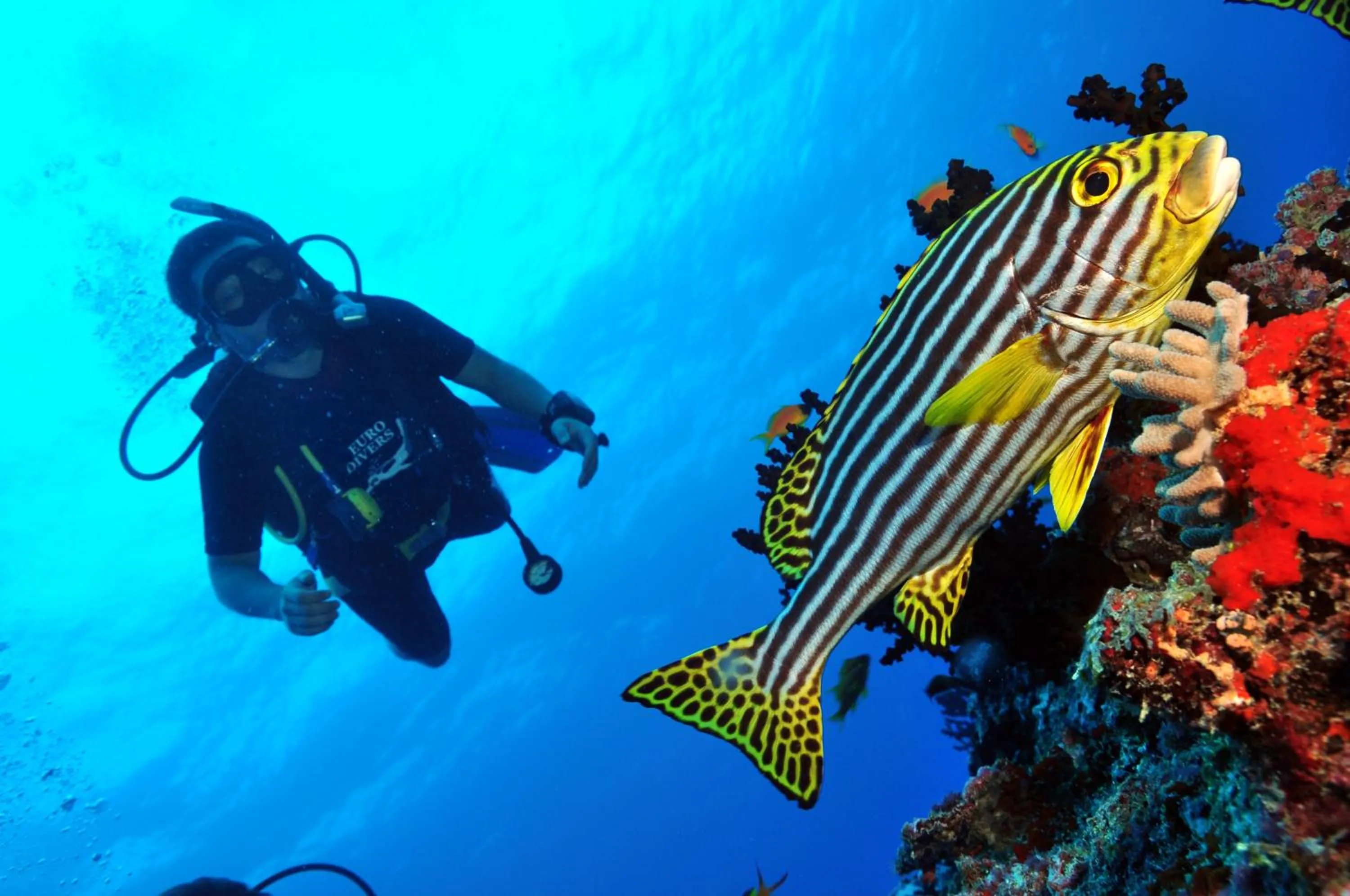 Snorkeling in Dhigali Maldives - A Premium All-Inclusive Resort