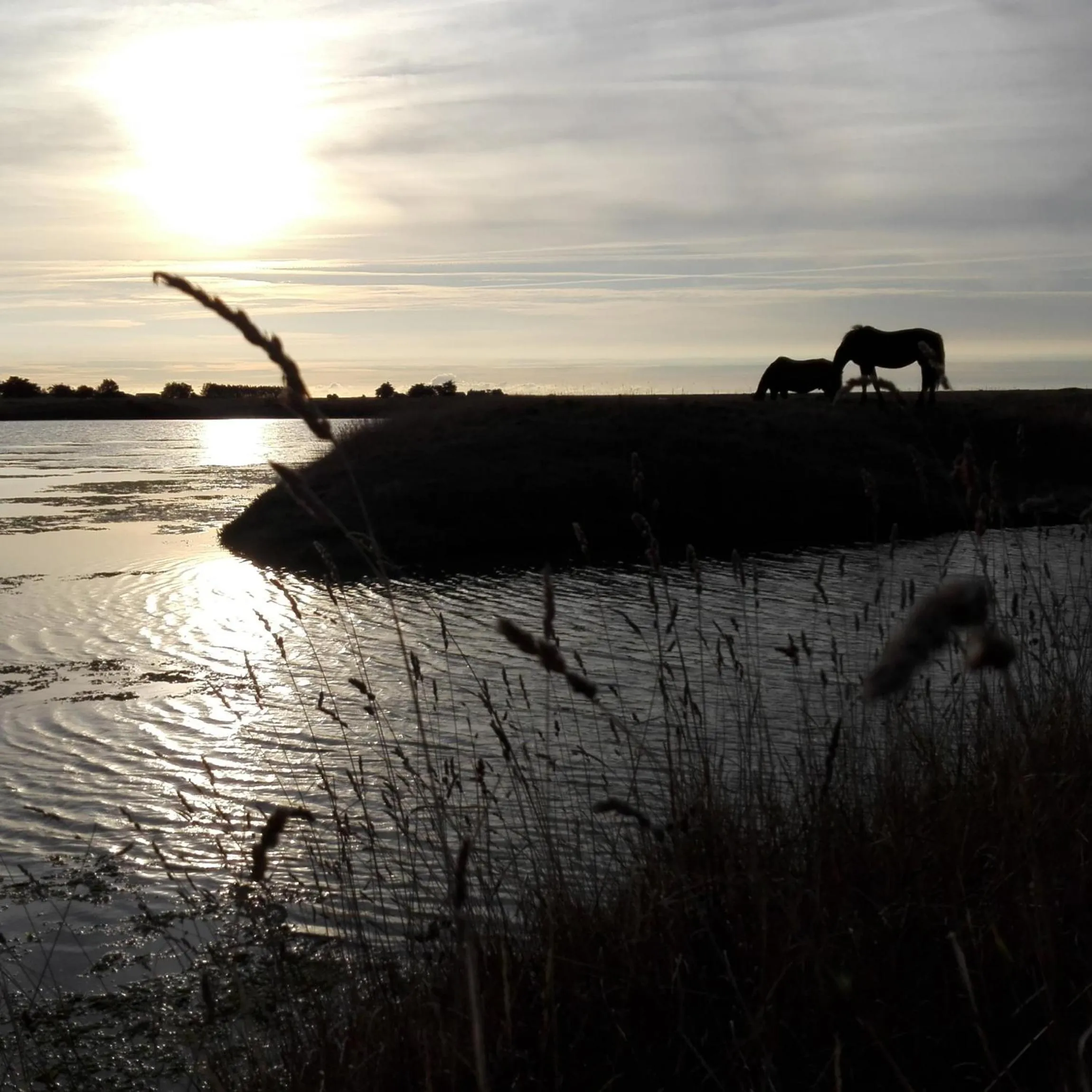 Landmark view in Les Pensions du Joslin