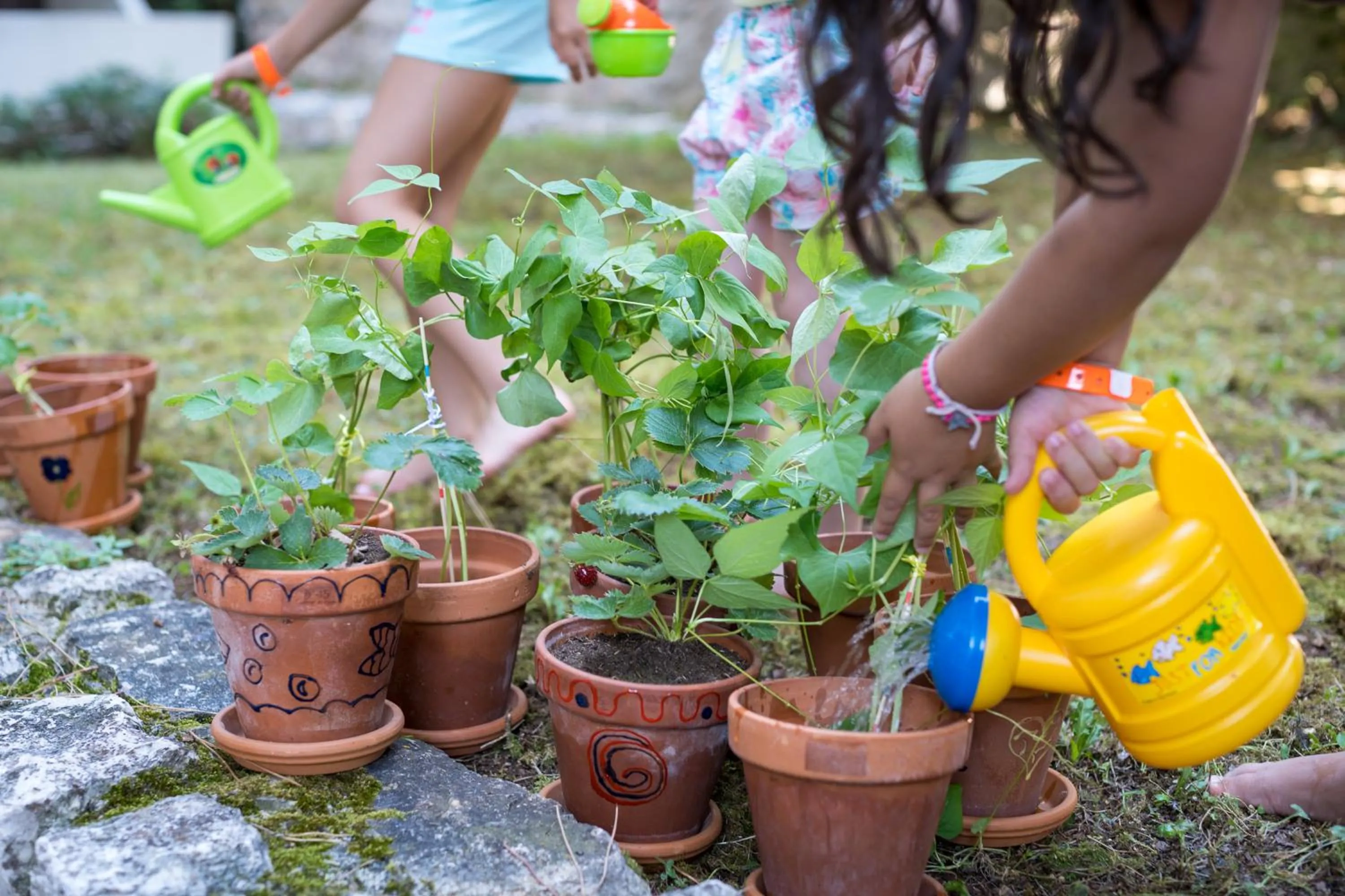 Garden in Maistra Select Island Hotel Istra