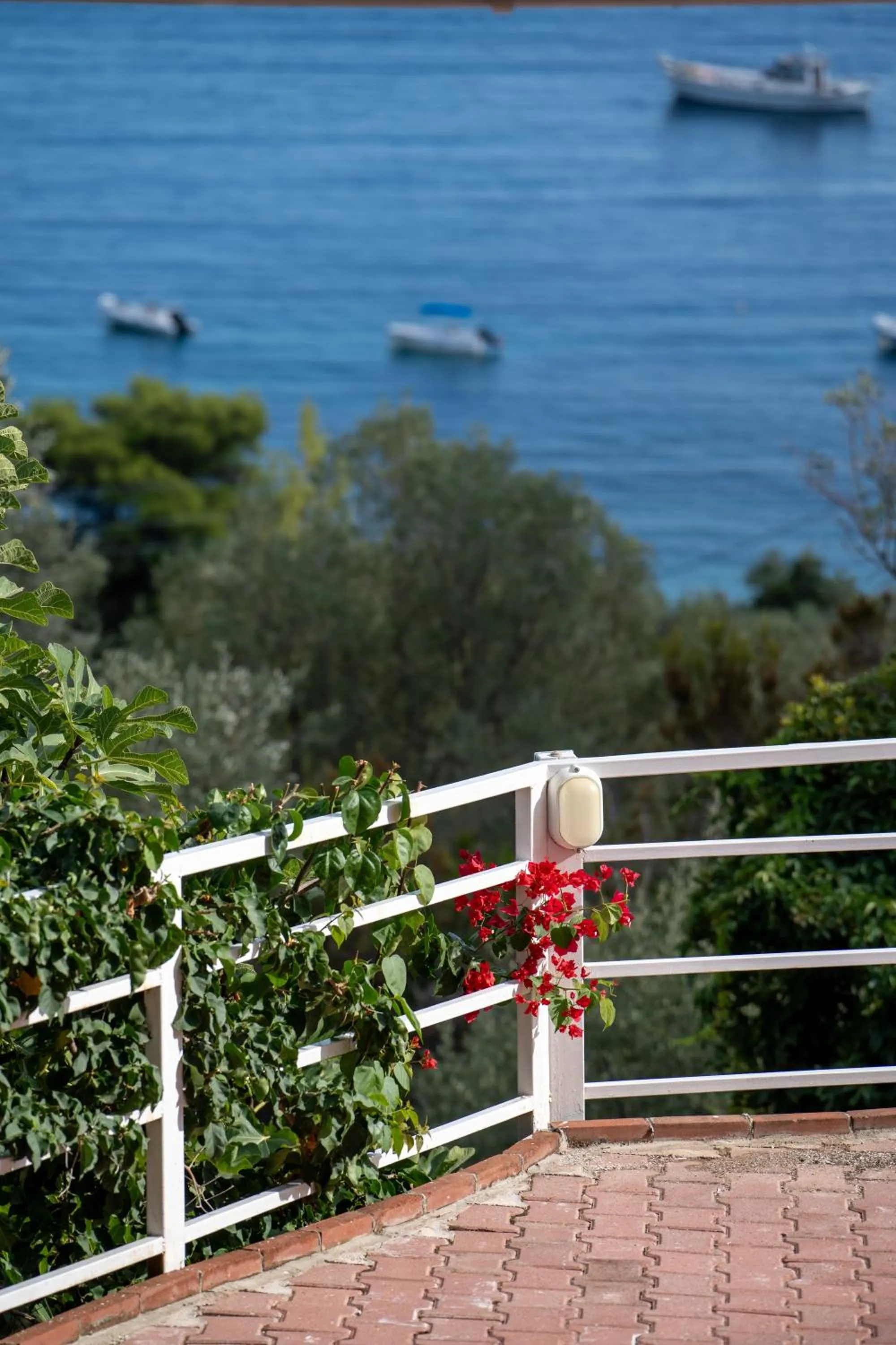 View (from property/room) in La Luna Hotel