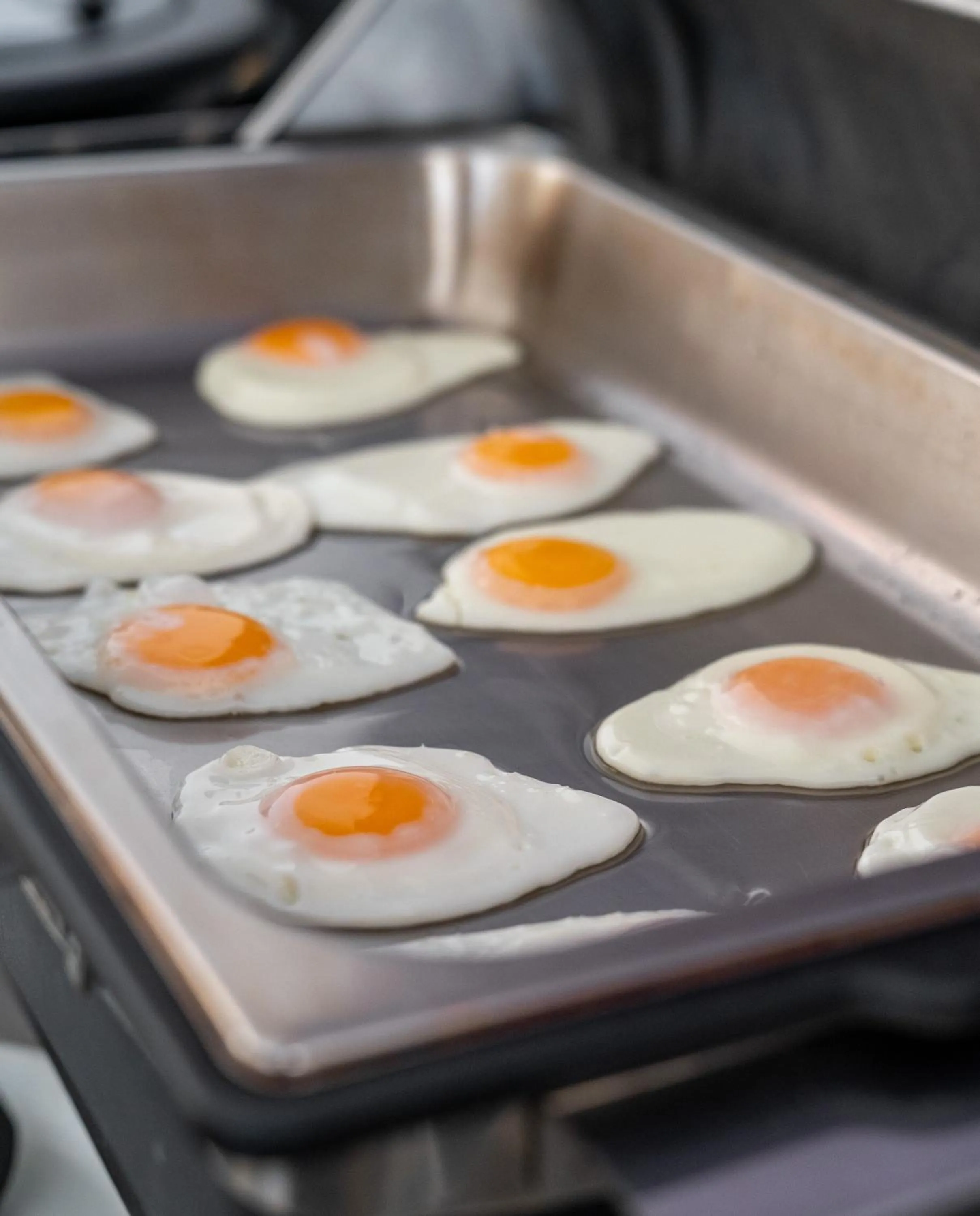 Food in La Luna Hotel