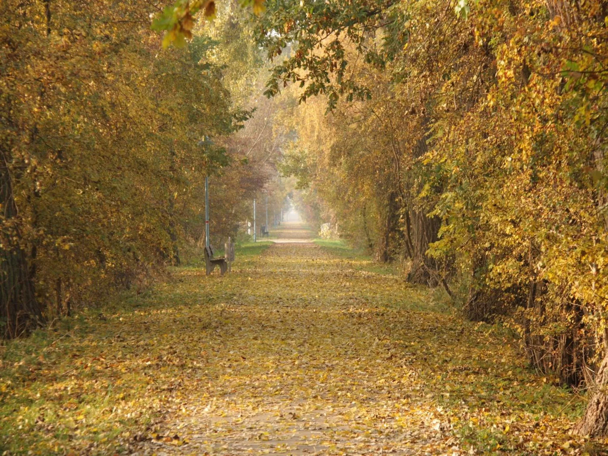 Autumn in Lagunenstadt am Haff GmbH