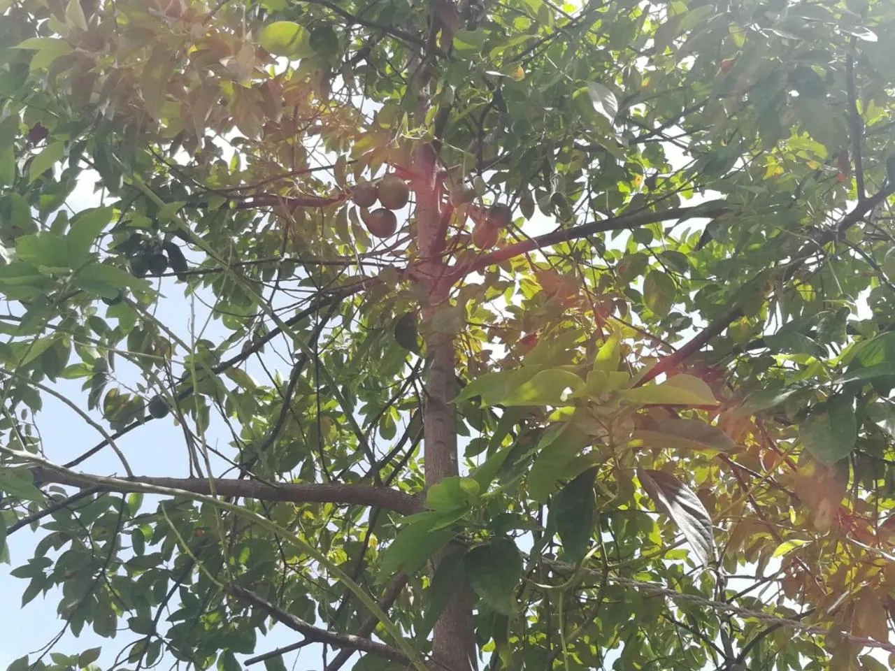 Property building in Villa Carolina Bed and Breakfast