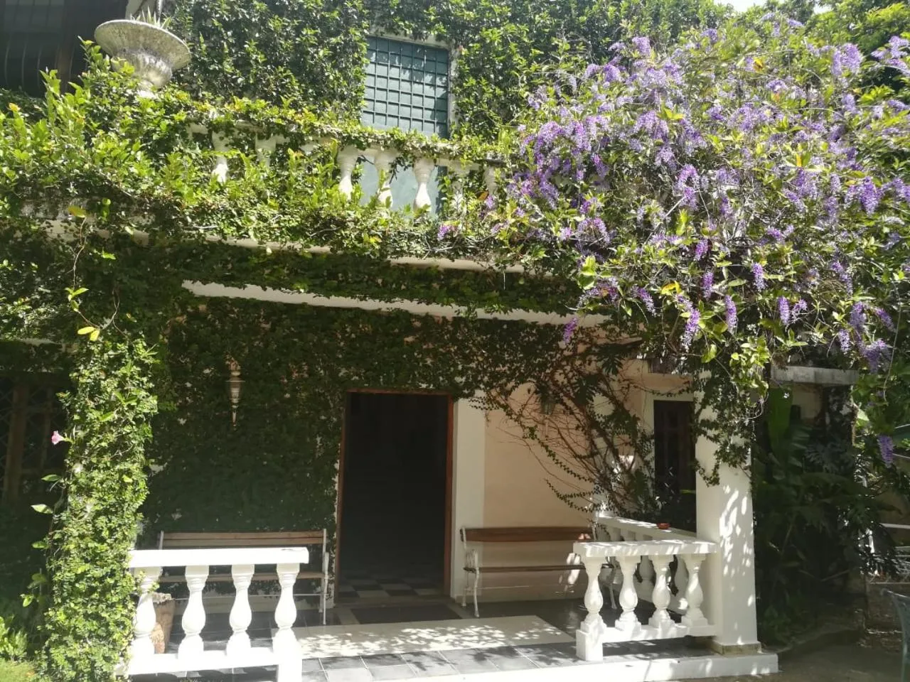 Villa Carolina Bed and Breakfast