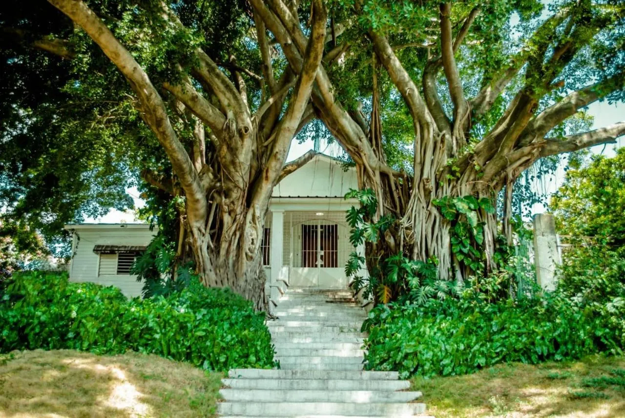 Facade/entrance in Villa Carolina Bed and Breakfast