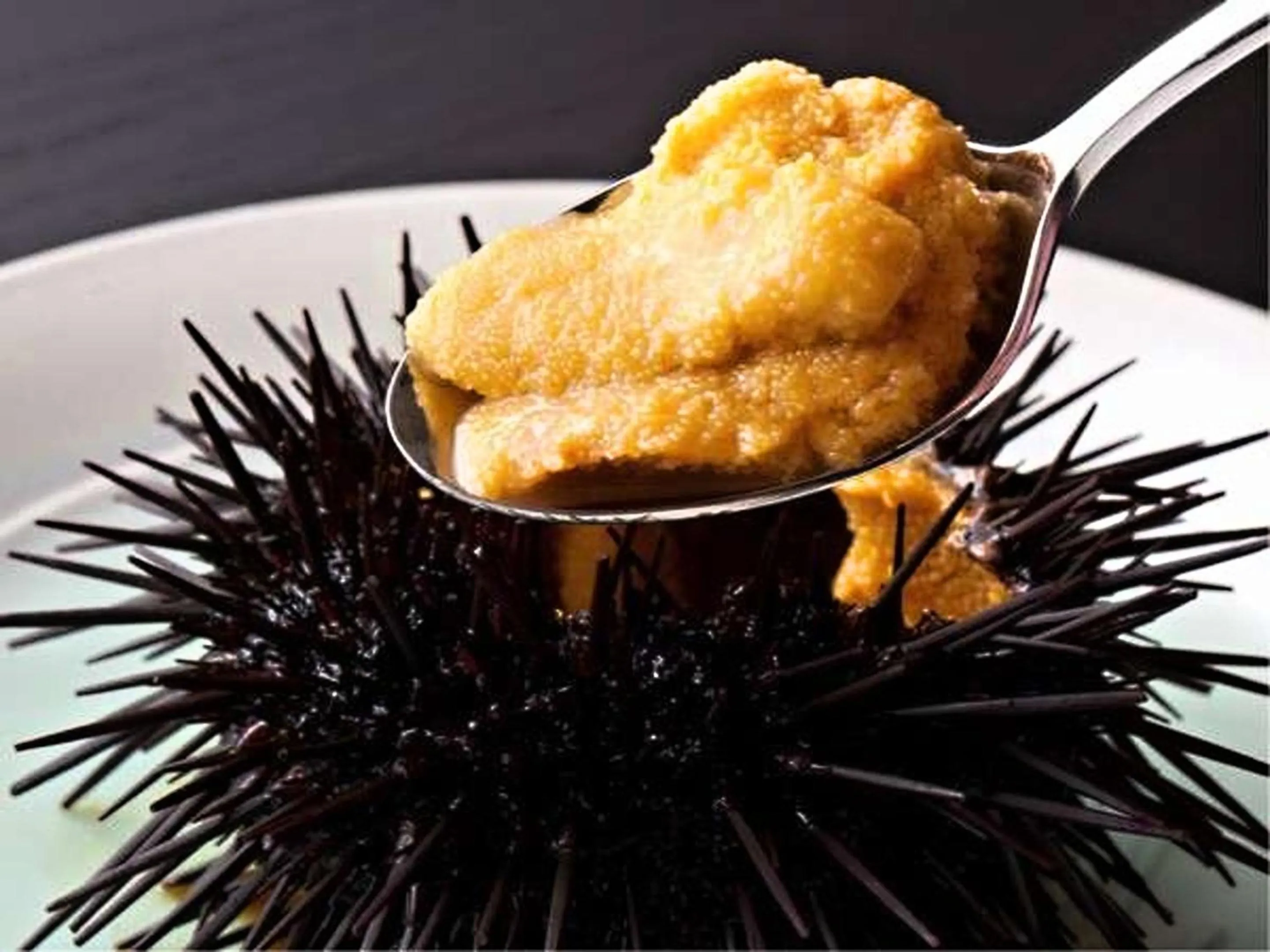 Food in Nagisatei Taroan