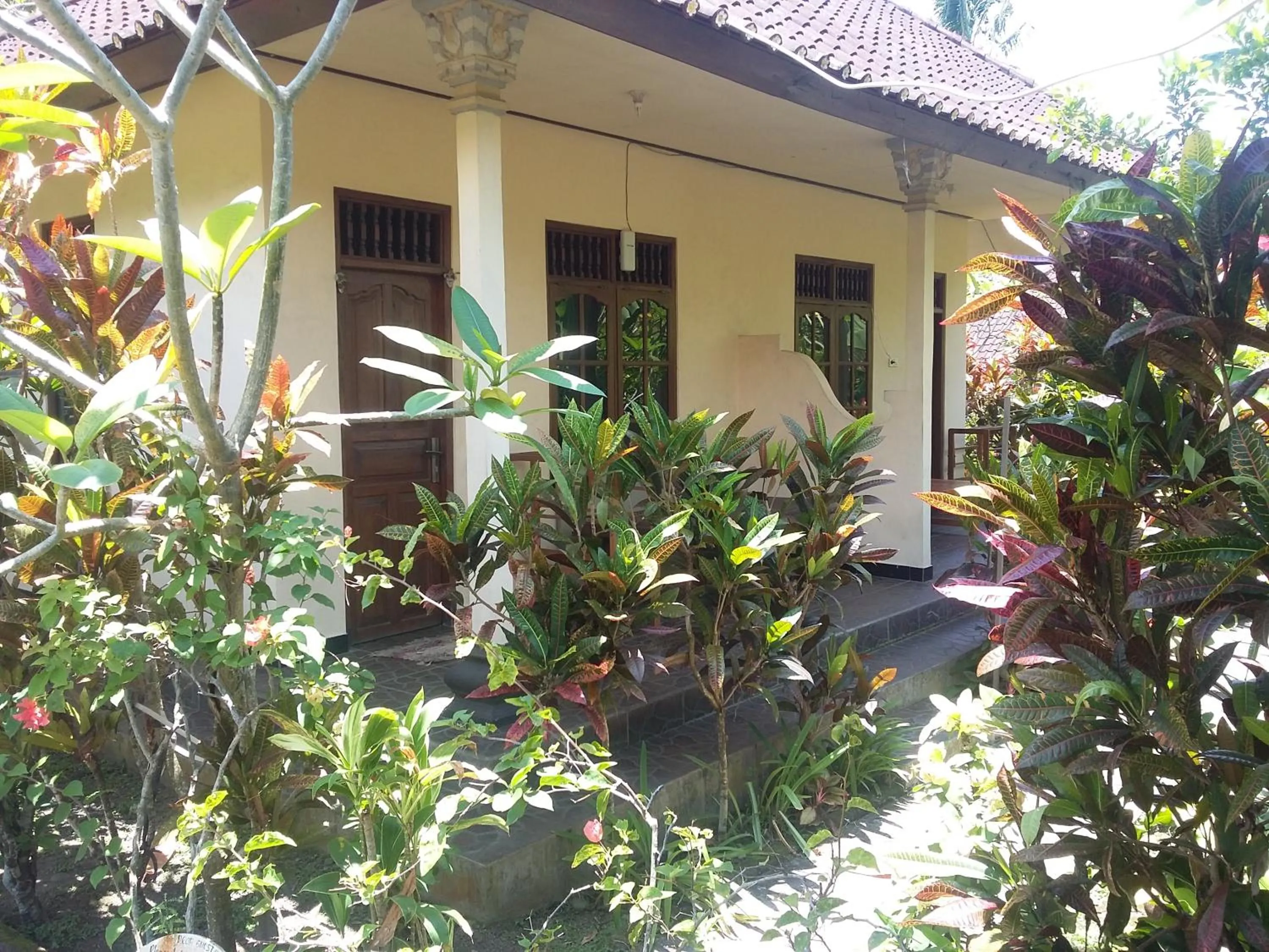 Property building in Surya Homestay