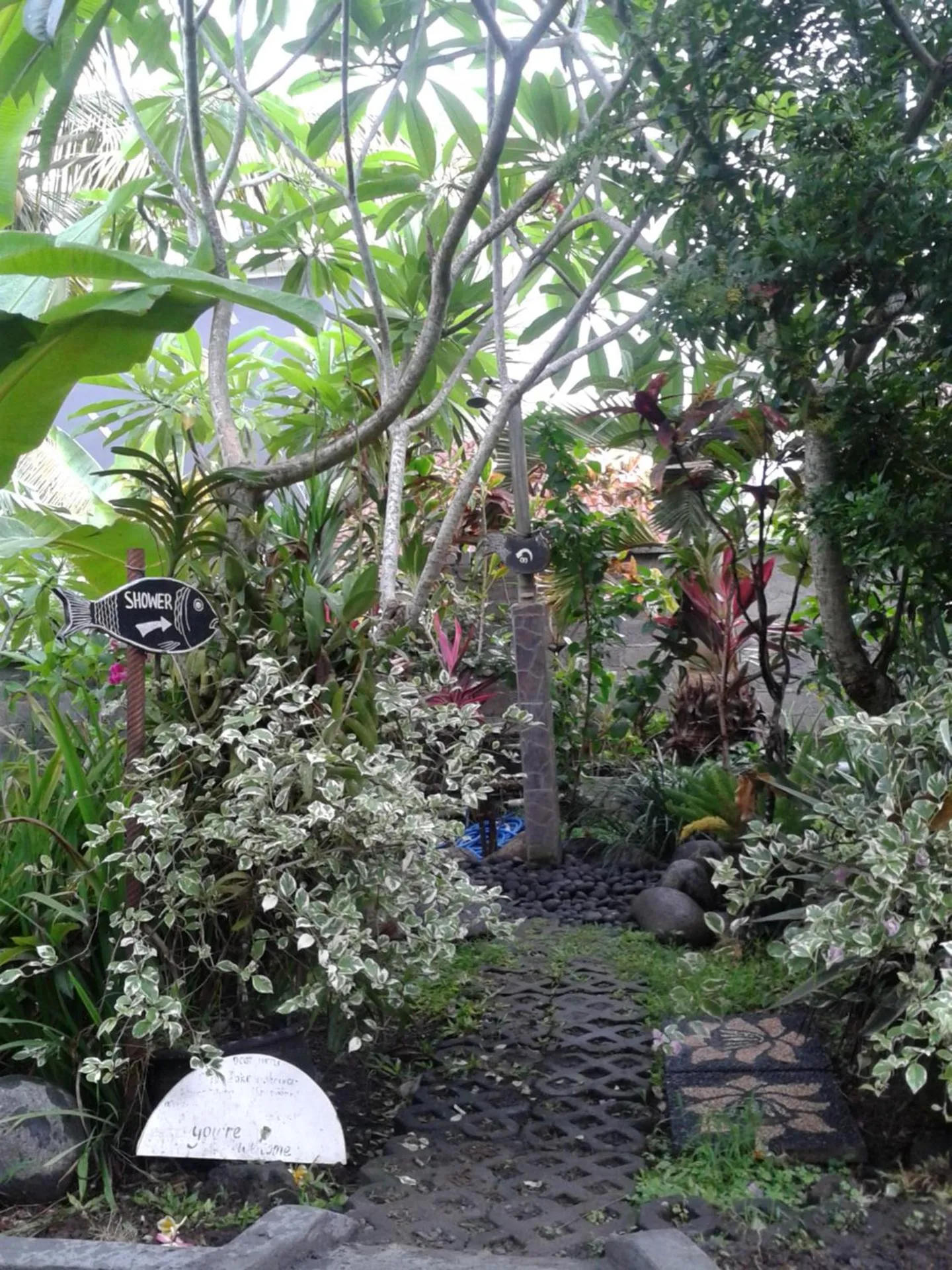 Shower in Surya Homestay