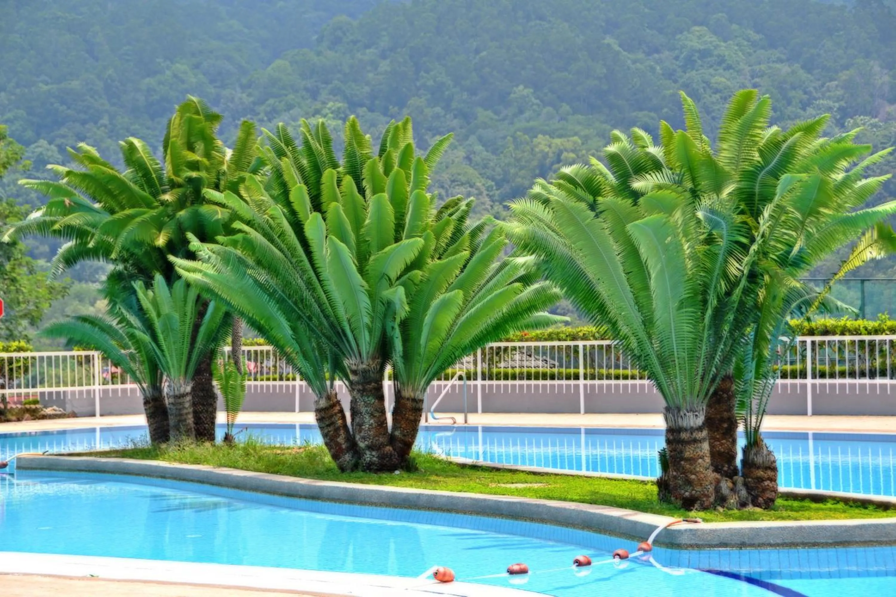 Swimming pool in Meru Suites at Meru Valley Resort