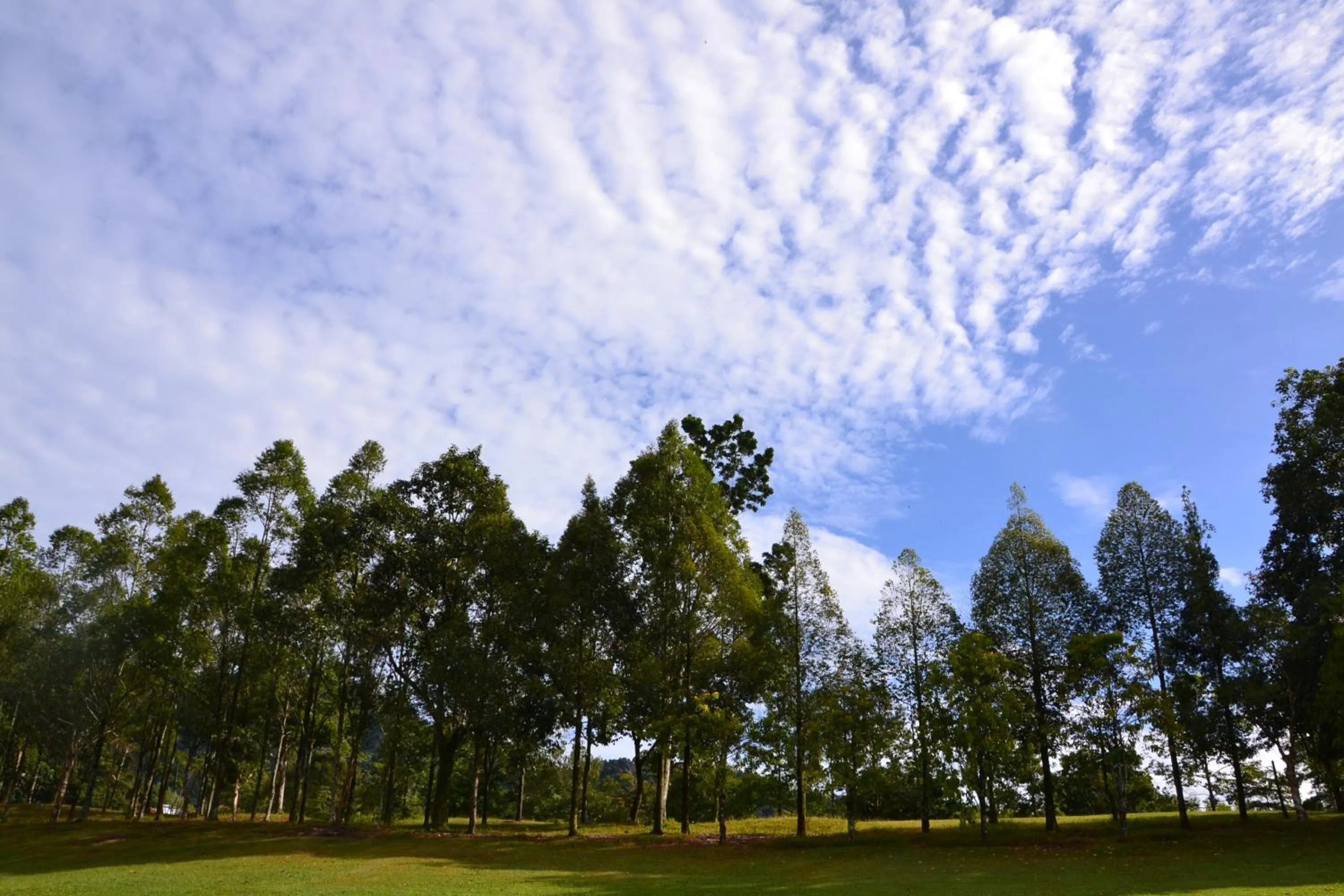 Golfcourse in Meru Suites at Meru Valley Resort