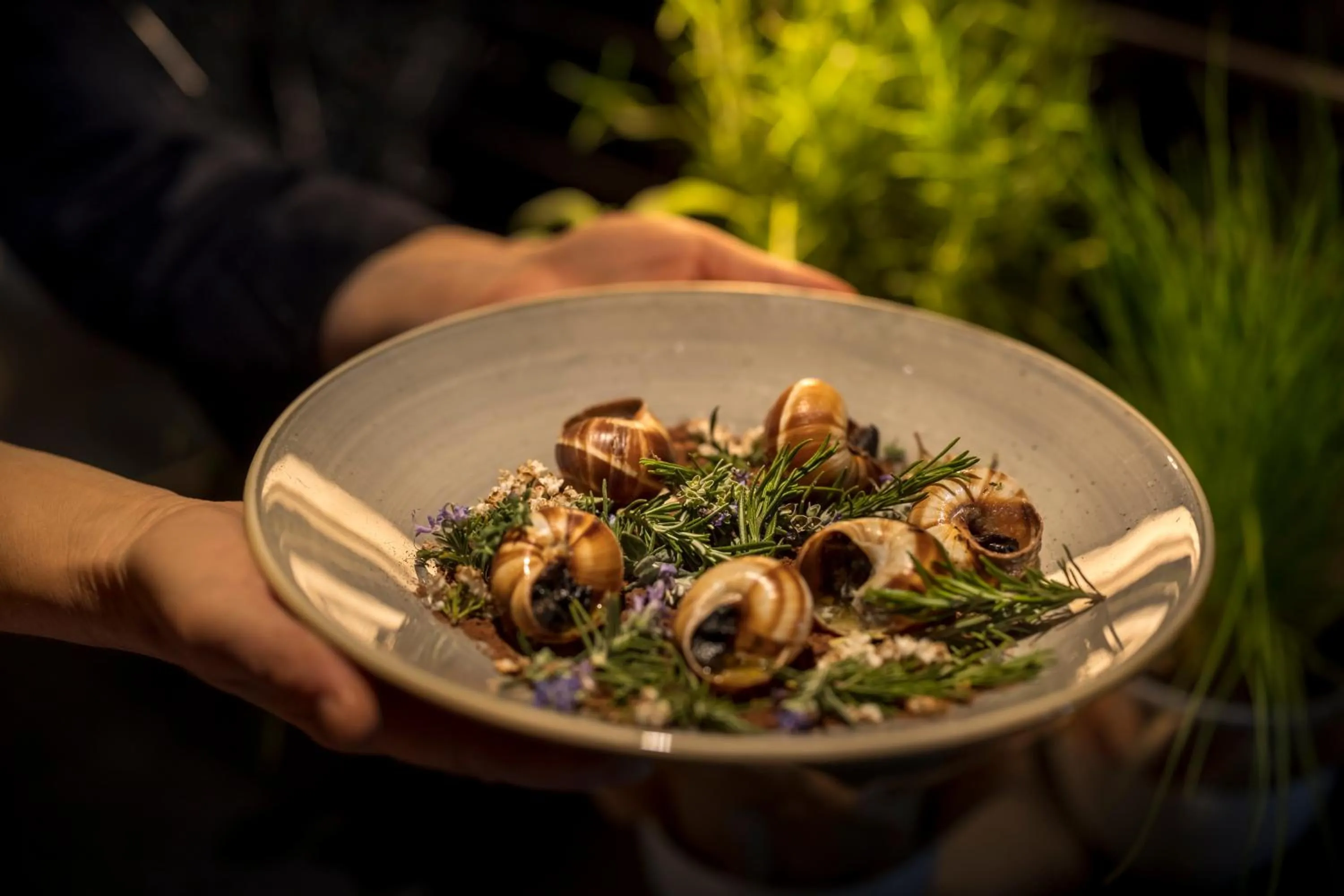 Restaurant/places to eat in Adriatic Hotel by Maistra Collection