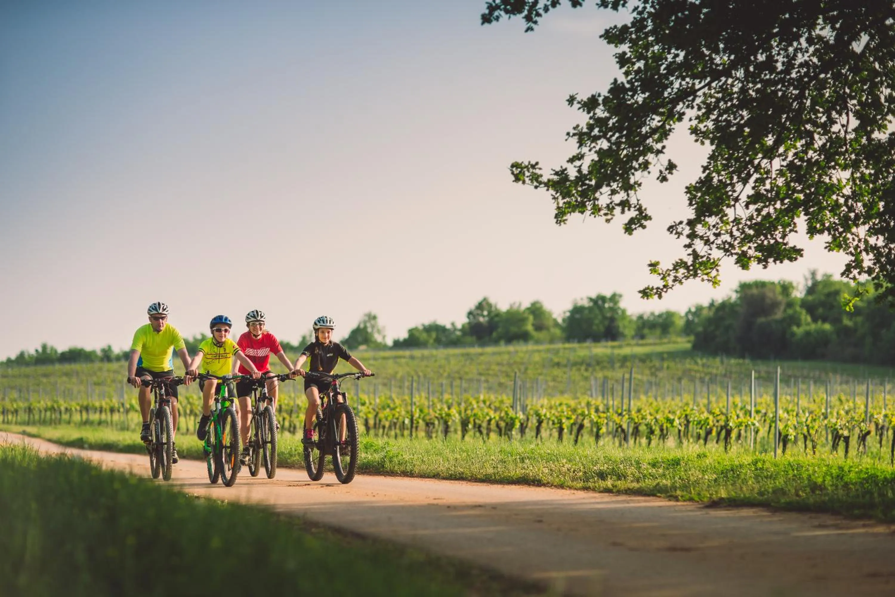 Cycling in Maistra Select Funtana All Inclusive Resort