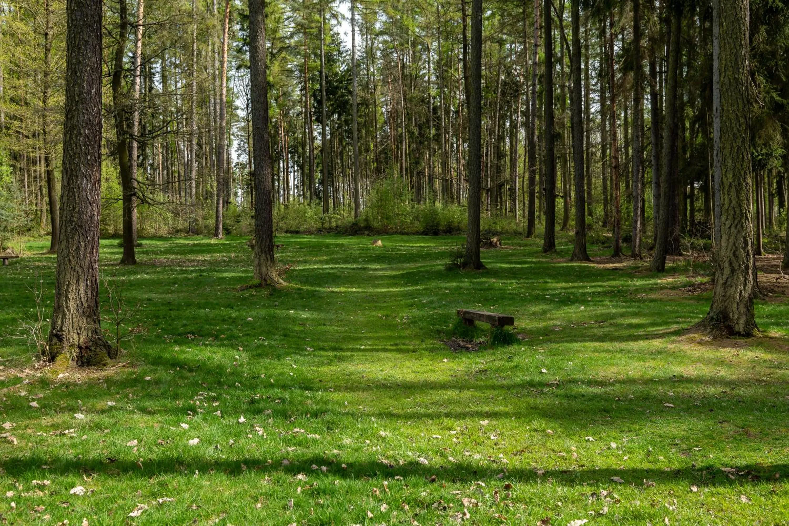 Off site in Archa hotel