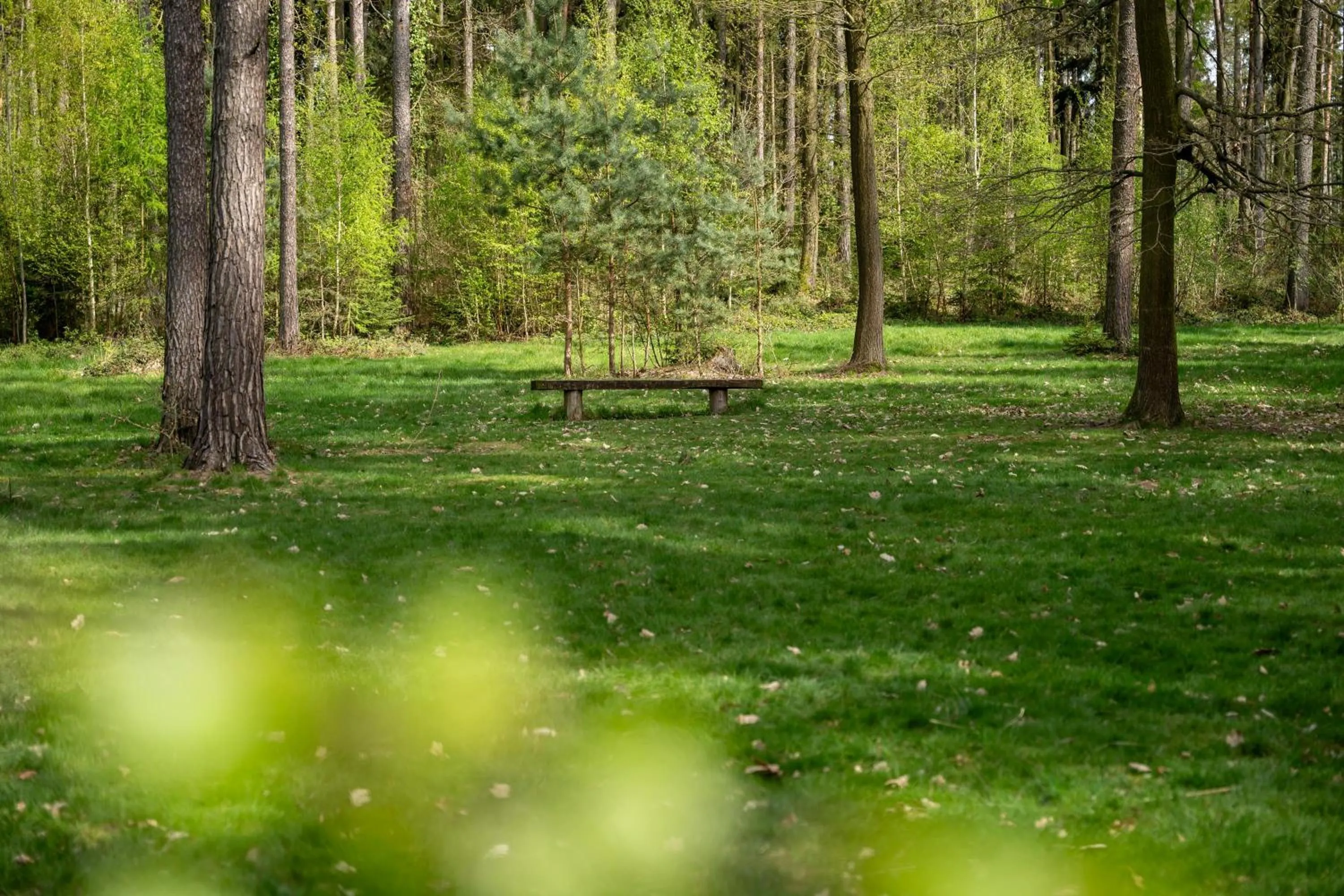 Off site in Archa hotel