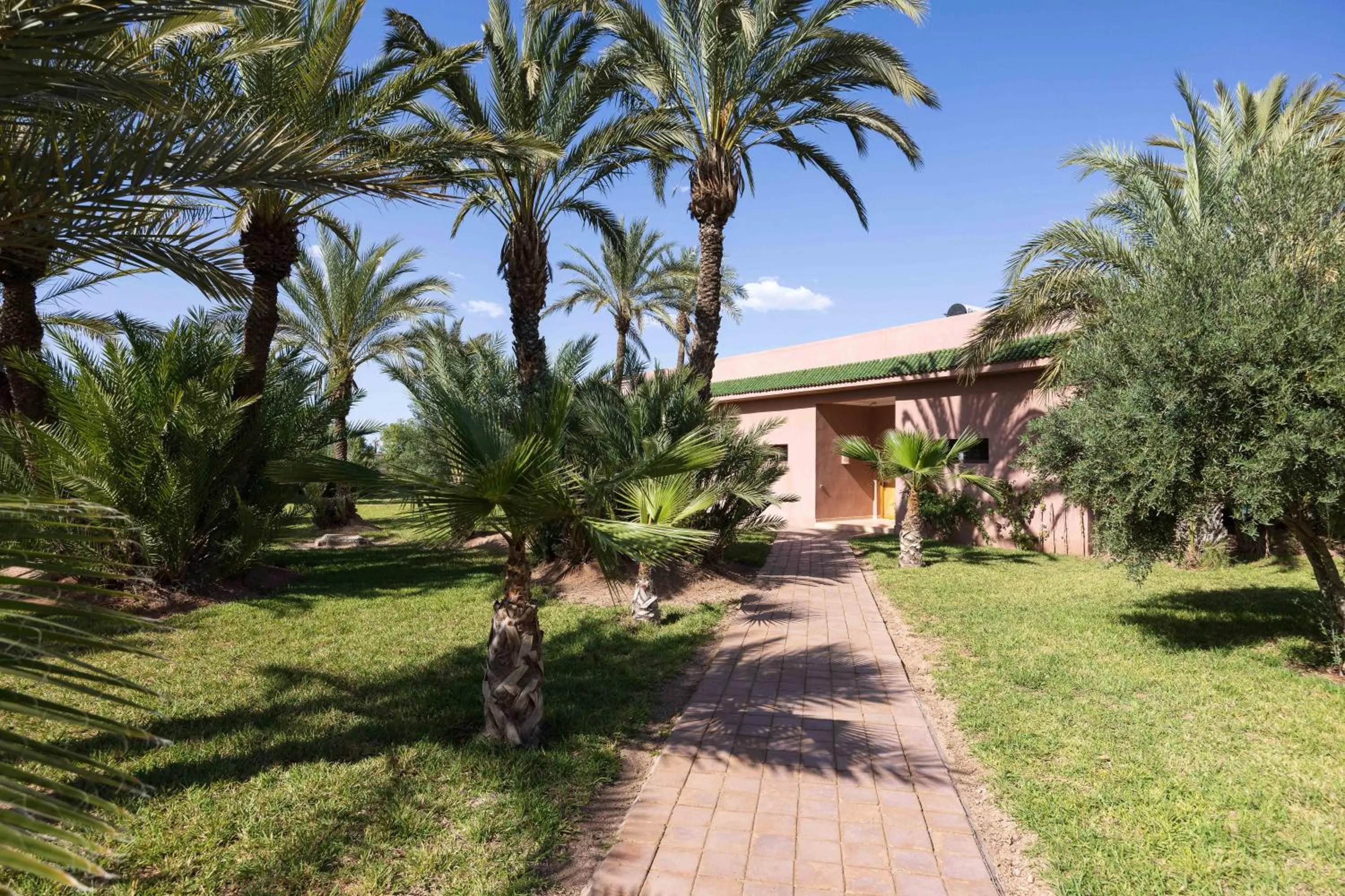 Other in Domaine Abiad