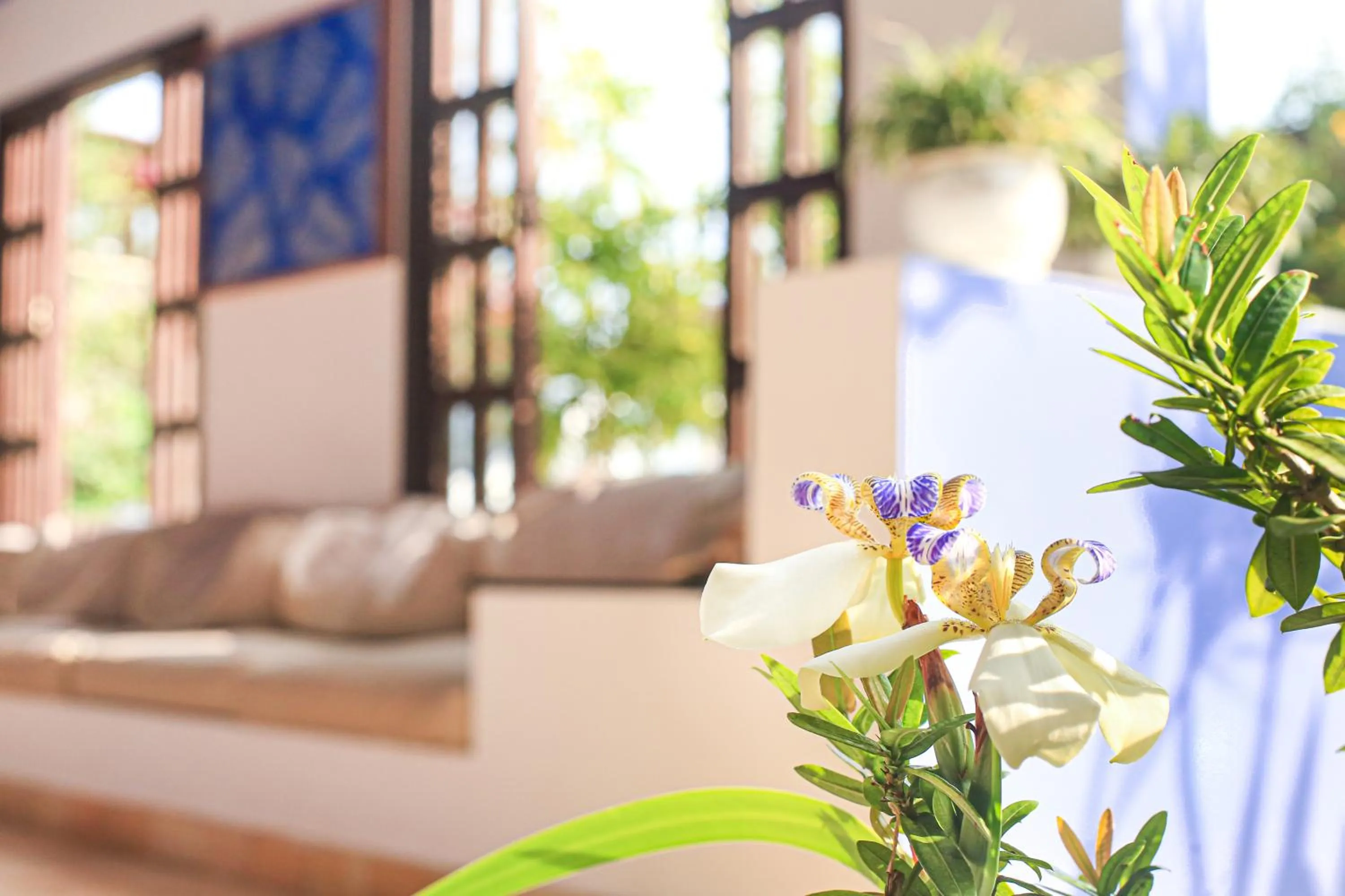 Garden in Pousada Arriba Pipa