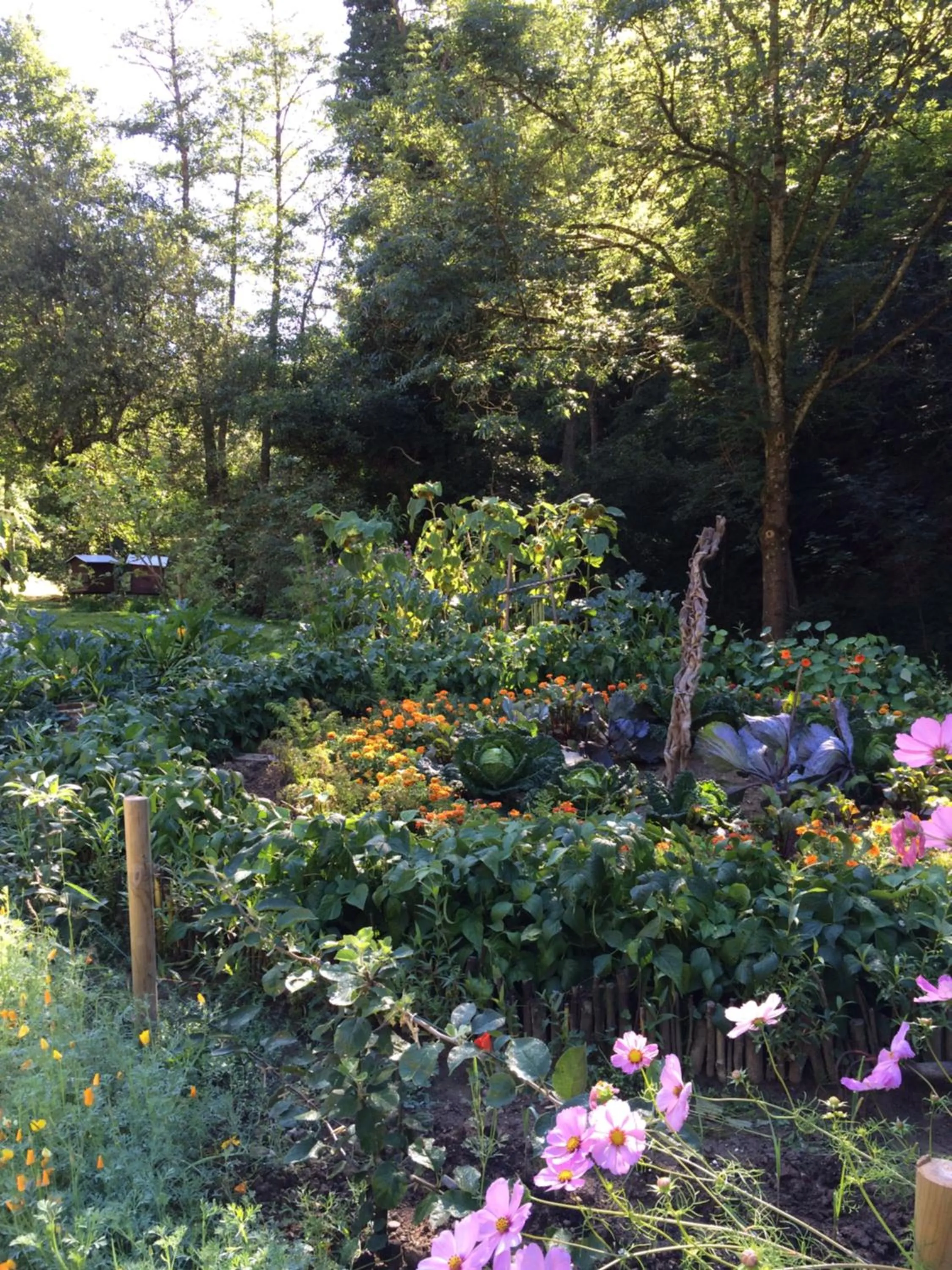 Garden in Les Sittelles de Bamboche