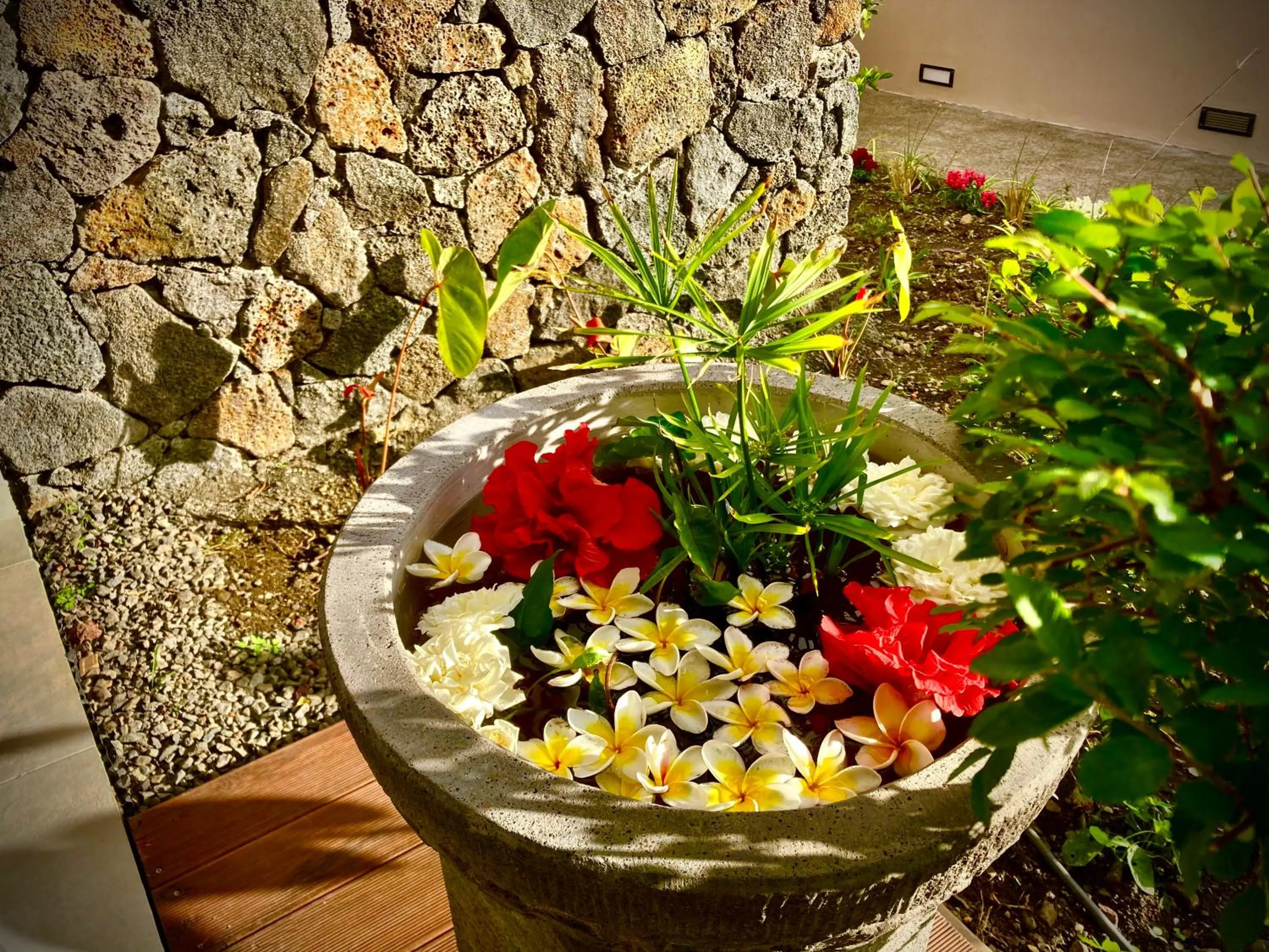 Garden in La Villa Kazuera