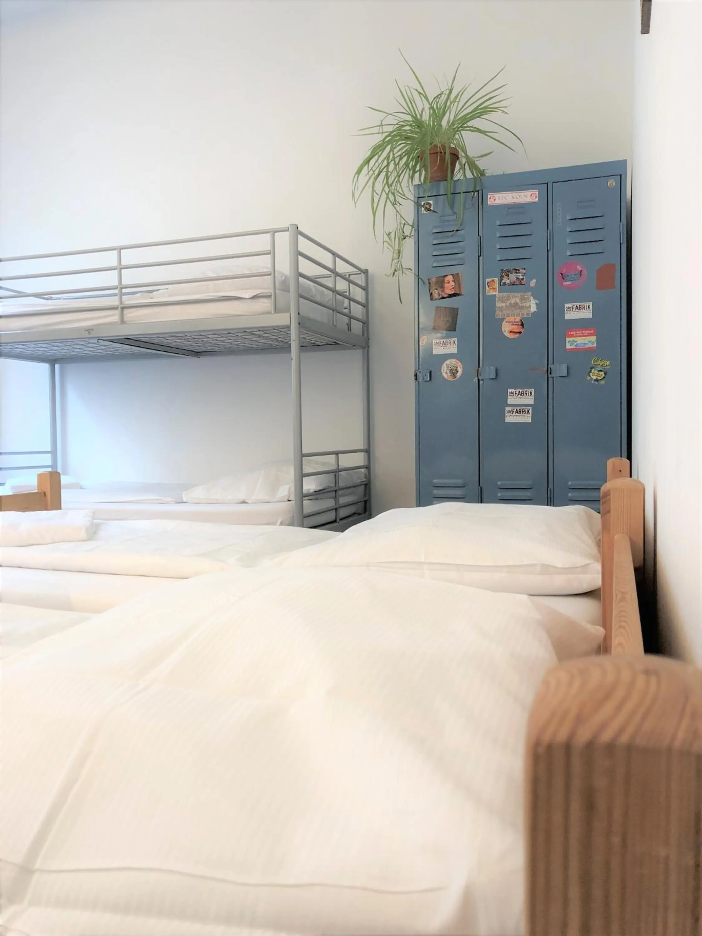 Photo of the whole room, Bed in Die Fabrik - Hostel