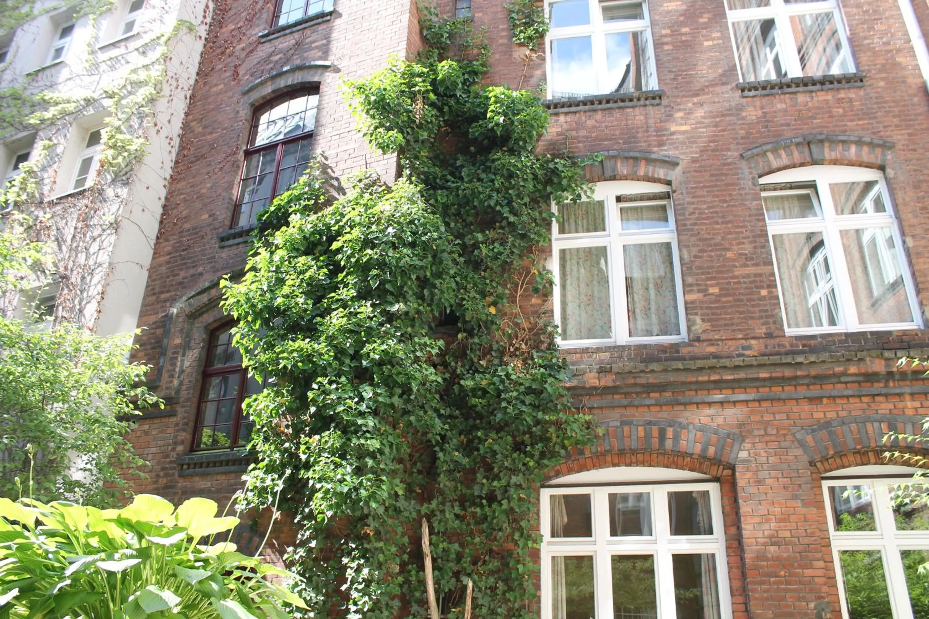 Garden in Die Fabrik - Hostel