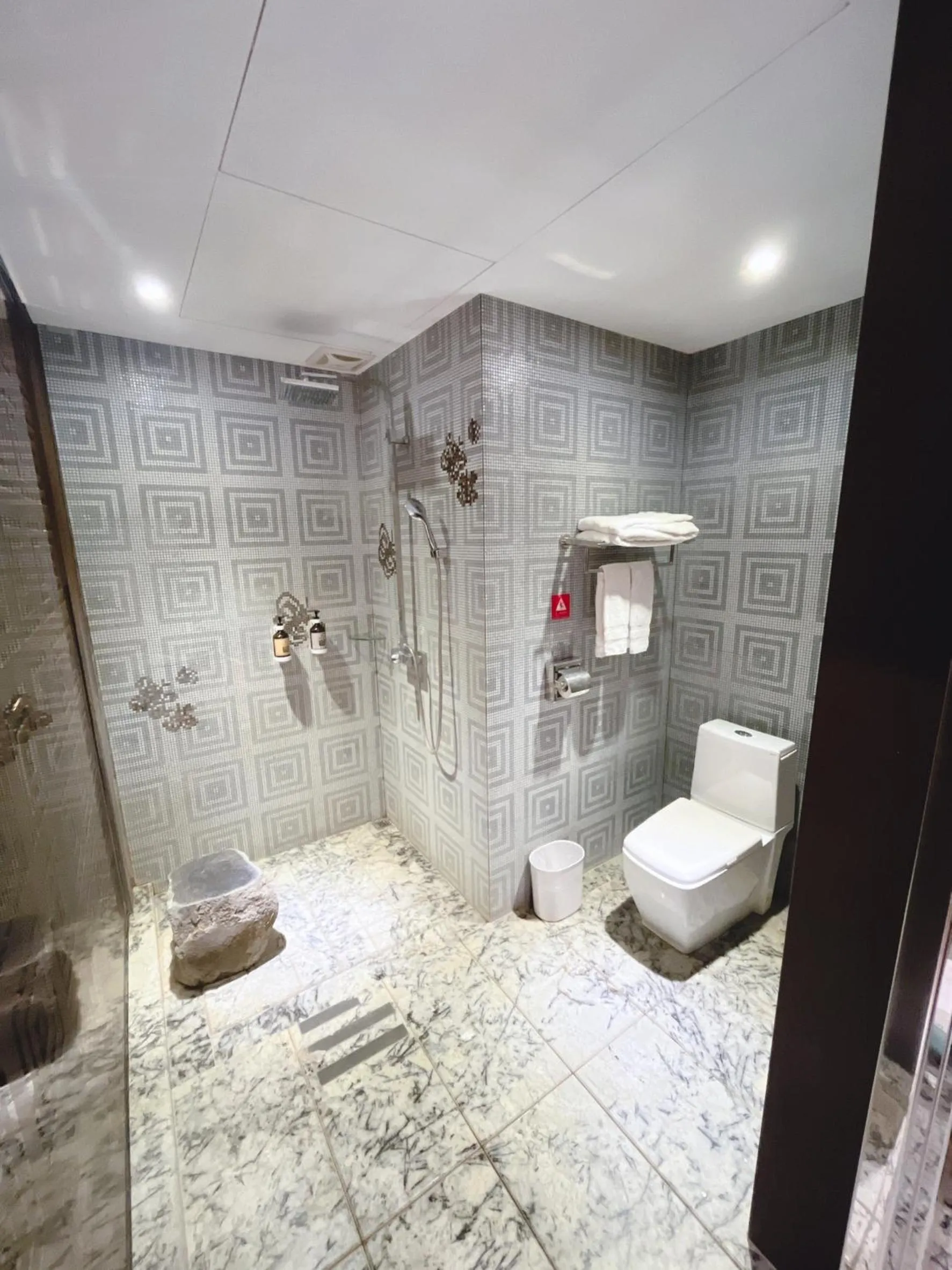 Shower in Region Motel