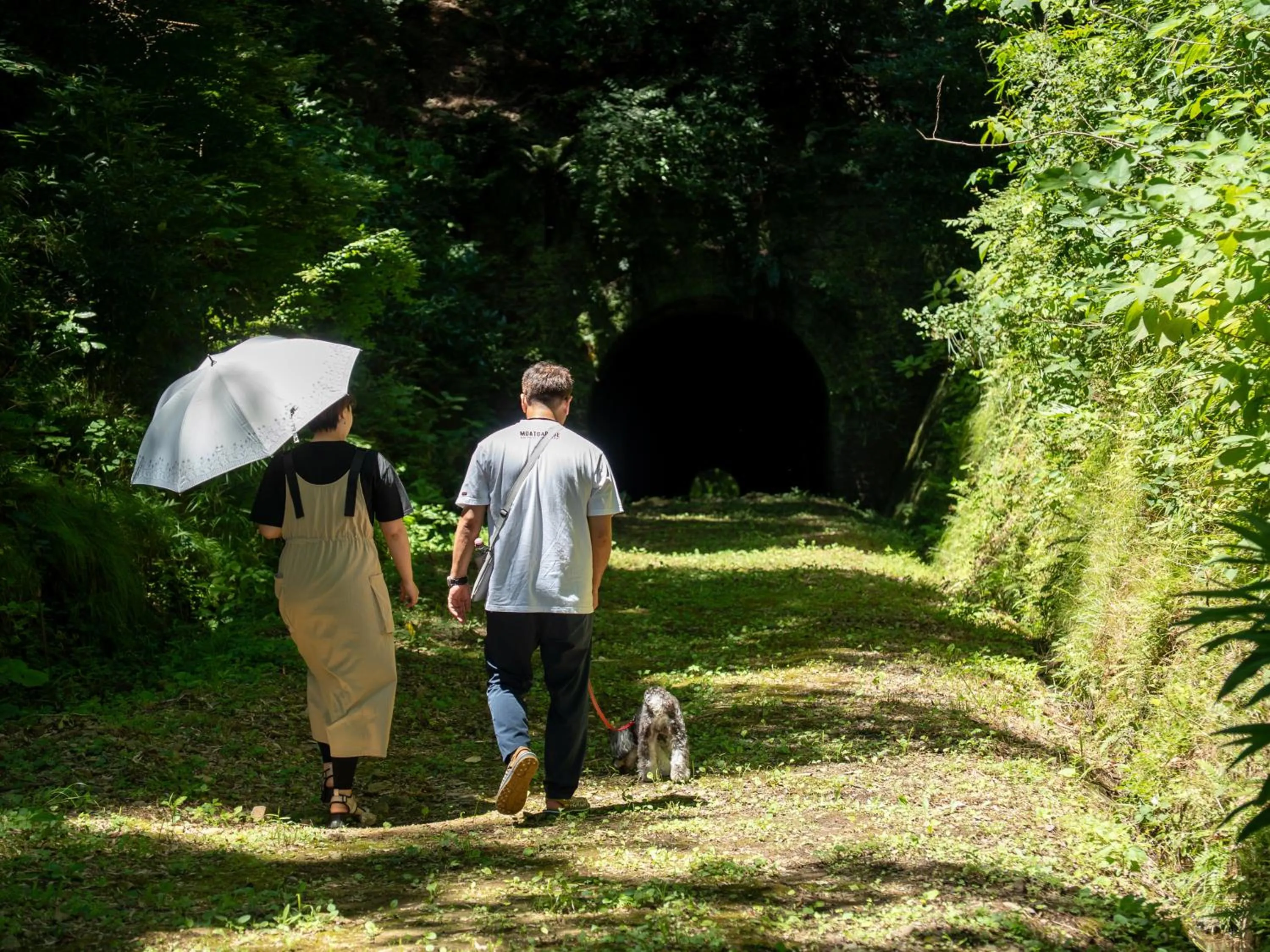 Animals in Farm Garden Hotel