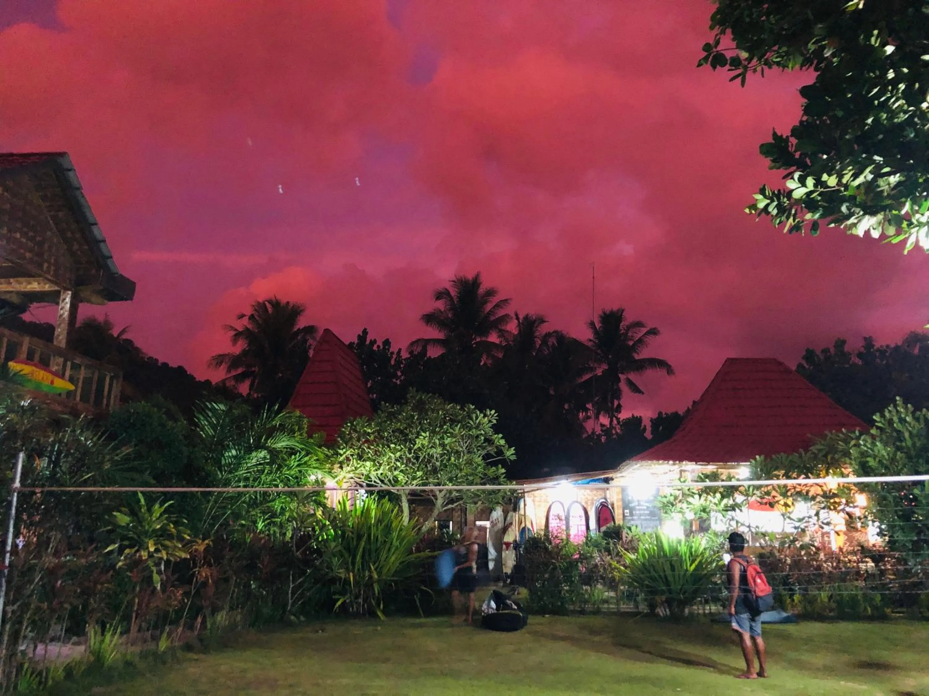 Garden view in Mojosurf Camp Red Island