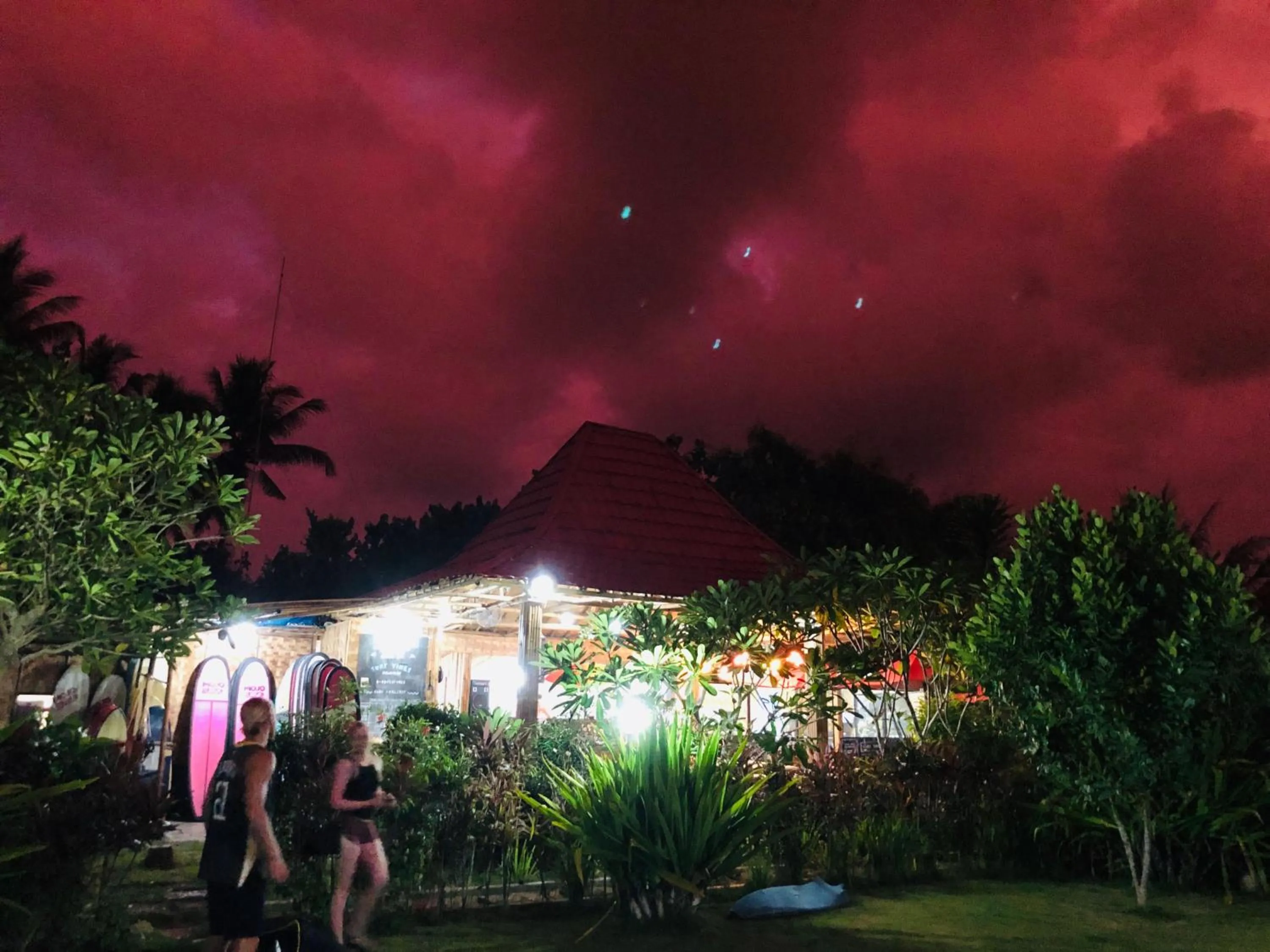 Garden in Mojosurf Camp Red Island